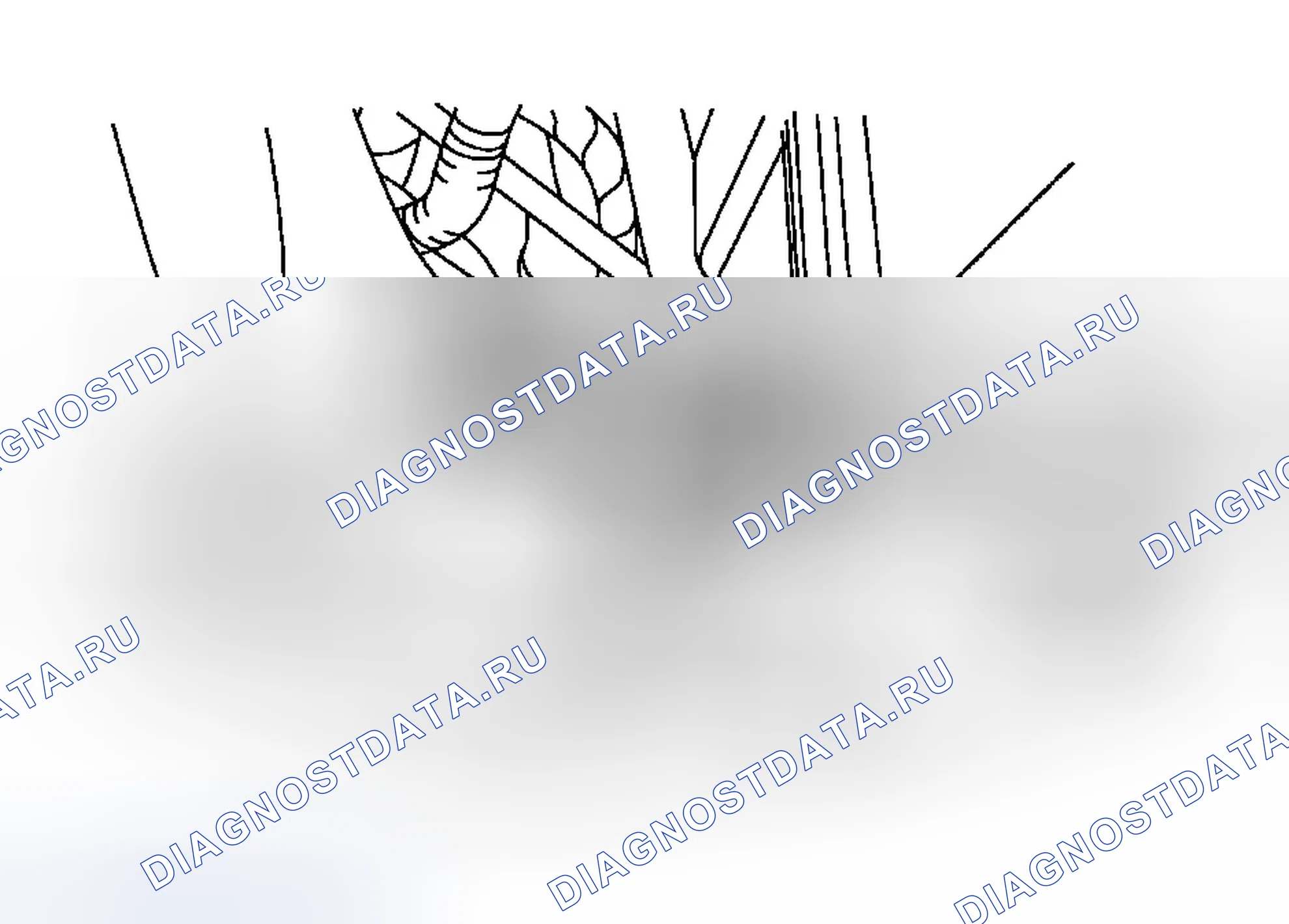 Рис. 1581. Ford Focus I рестайлинг