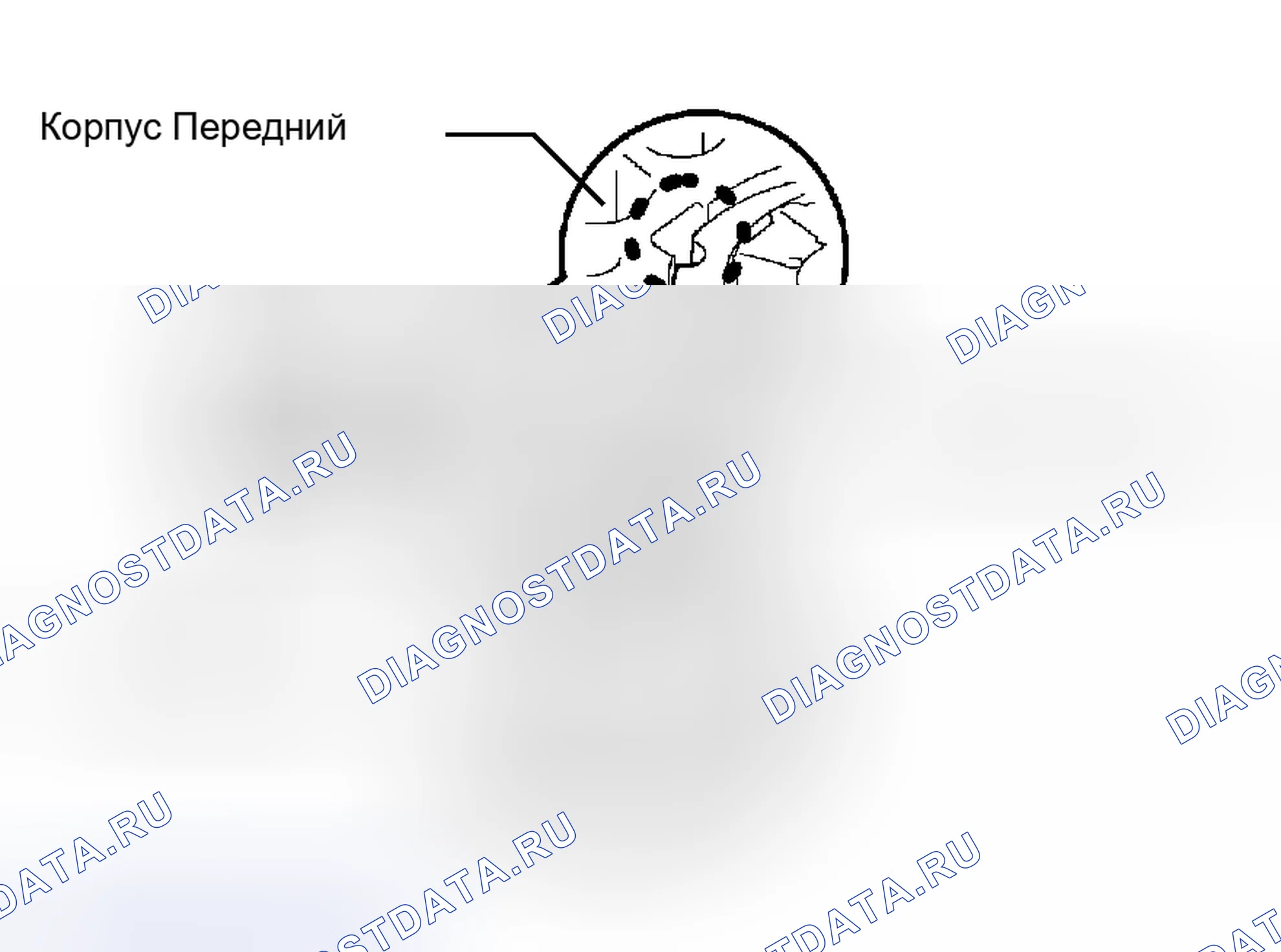 Рис. 35. Toyota Avalon XX30