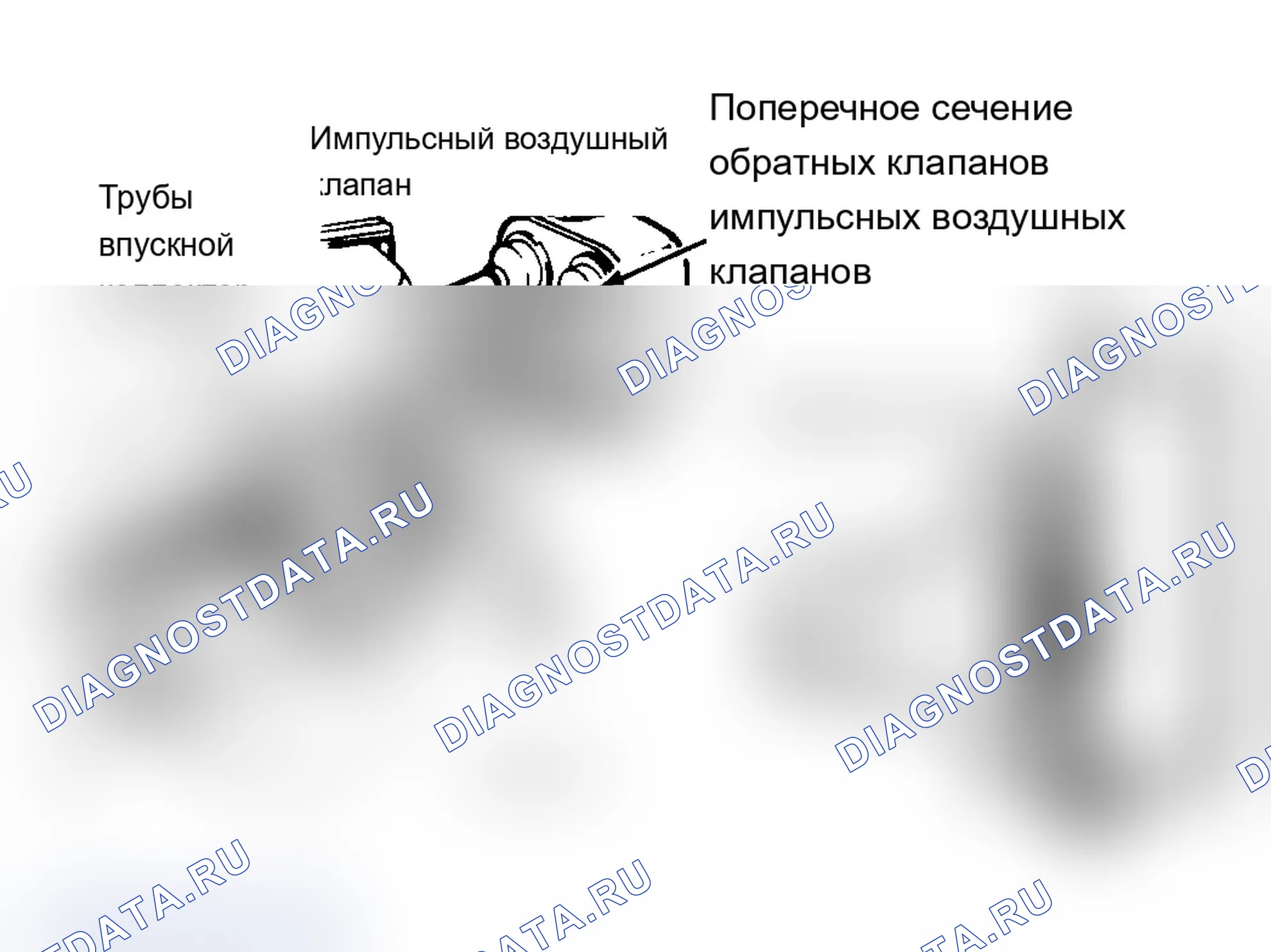 Рис. 14: Импульсная система впрыска вторичного воздуха (PAIR). Cadillac Brougham I