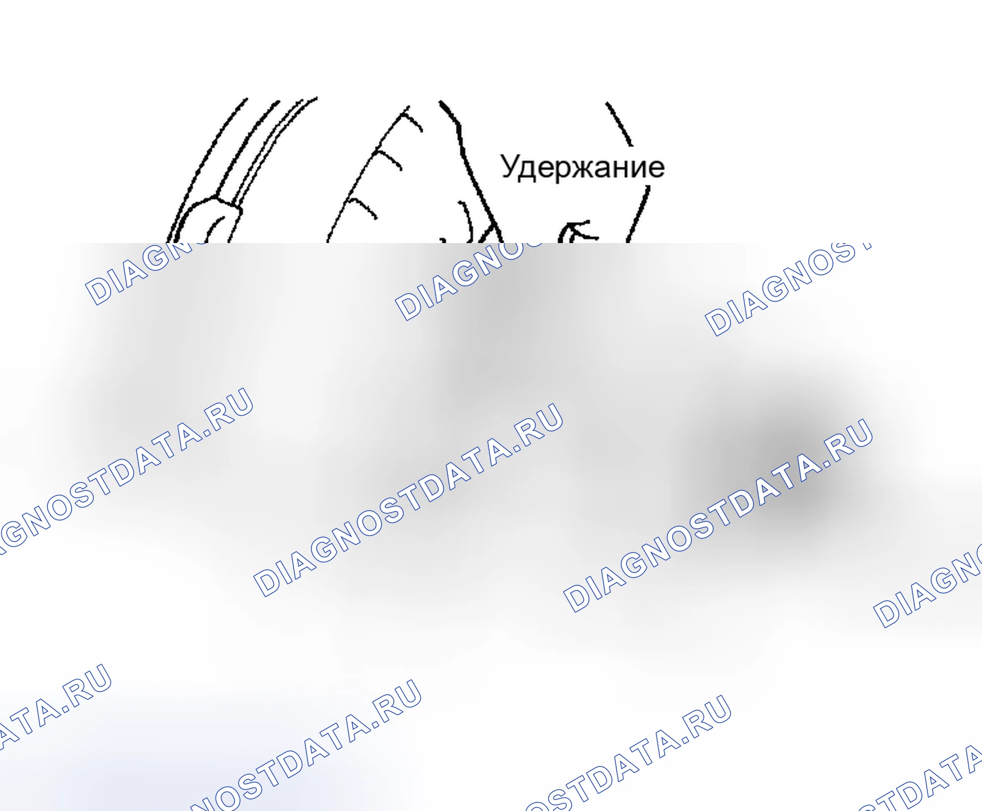 Рис. 258. Scion xB I