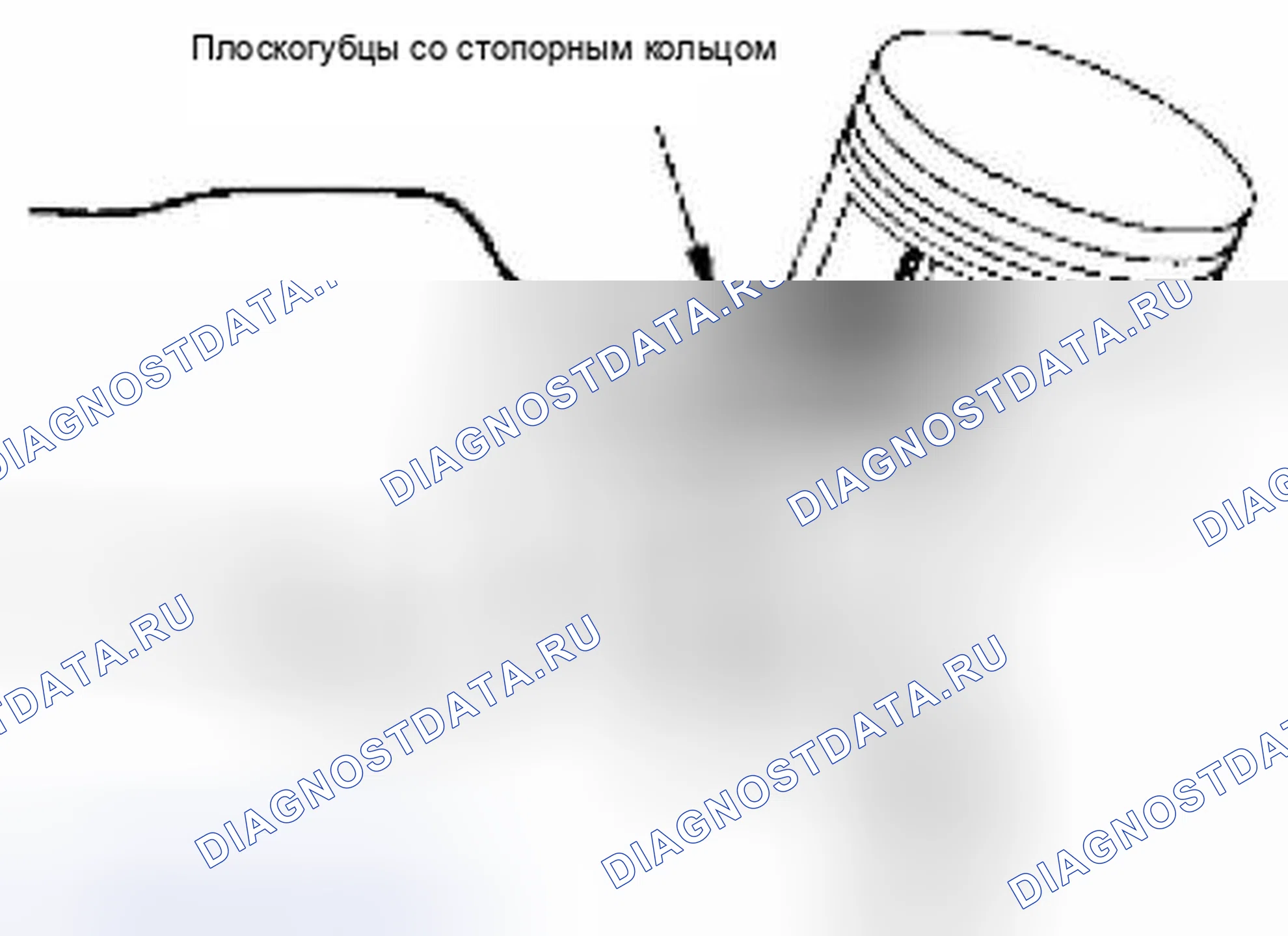 Рис. 109. Suzuki Equator I