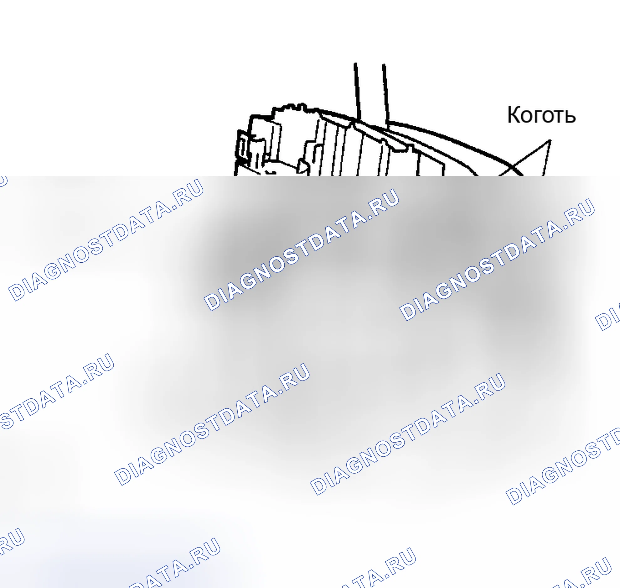 Рис. 260. Toyota Corolla IX рестайлинг