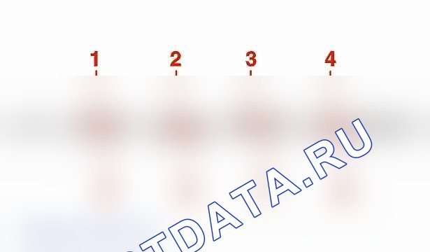Характеристики - идентификация Распределительные валы — b1ek0icd. Peugeot 406 I