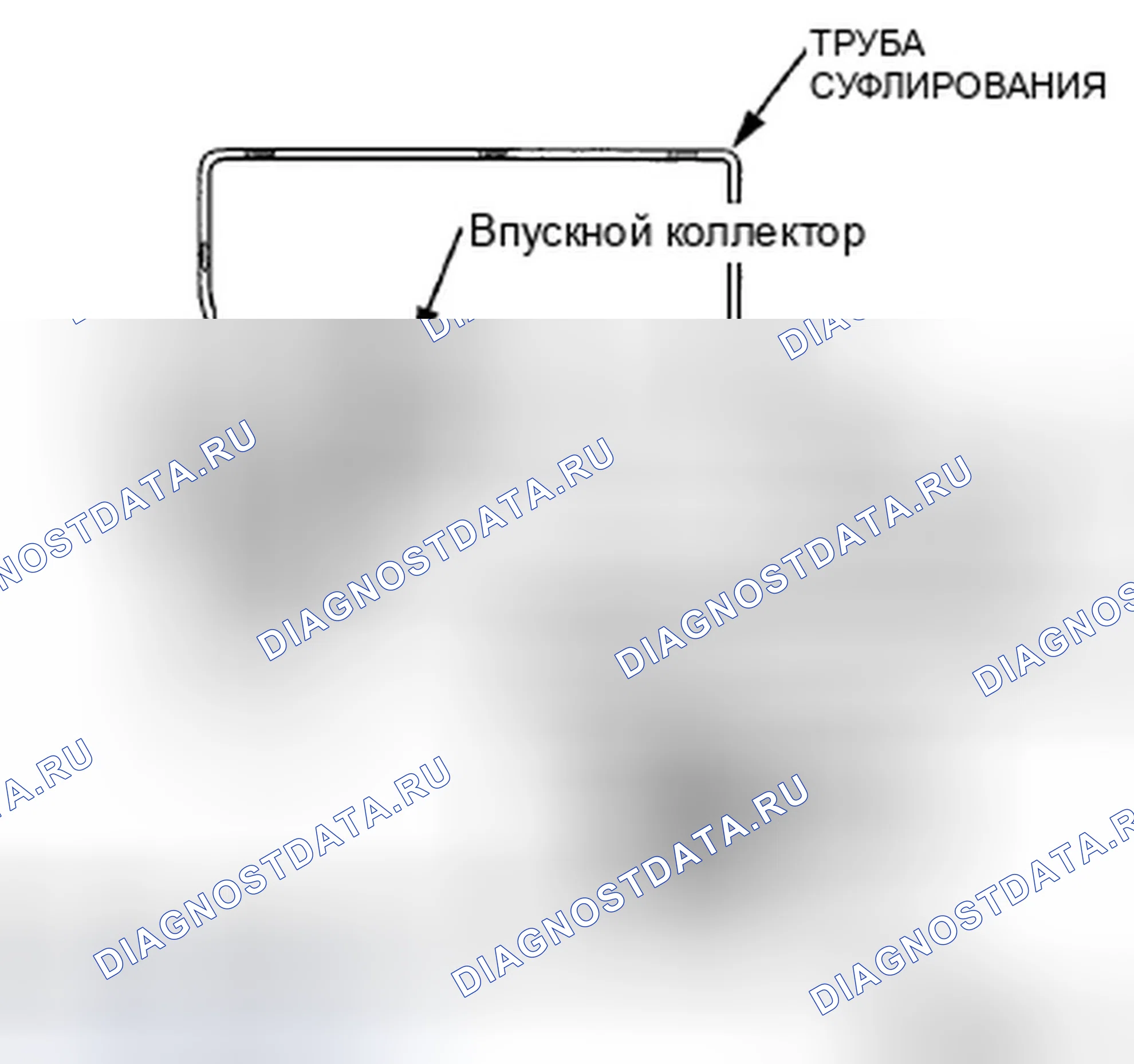 Рис. 586: Система принудительной вентиляции картера (принудительная вентиляция картера (PCV) (принудительная вентиляция картера)). Honda Crosstour I