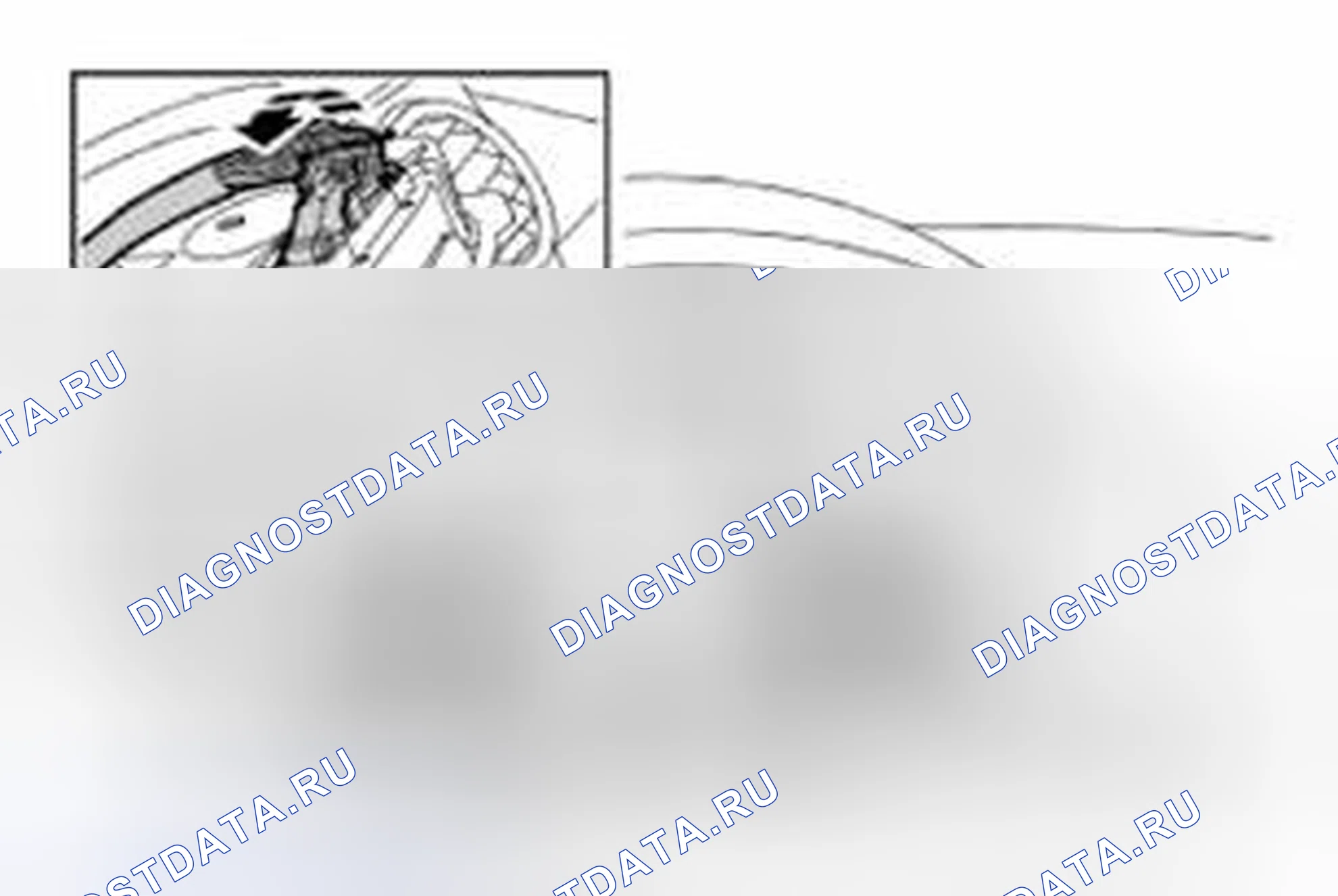 Рис. 144. Land Rover Range Rover Sport L320