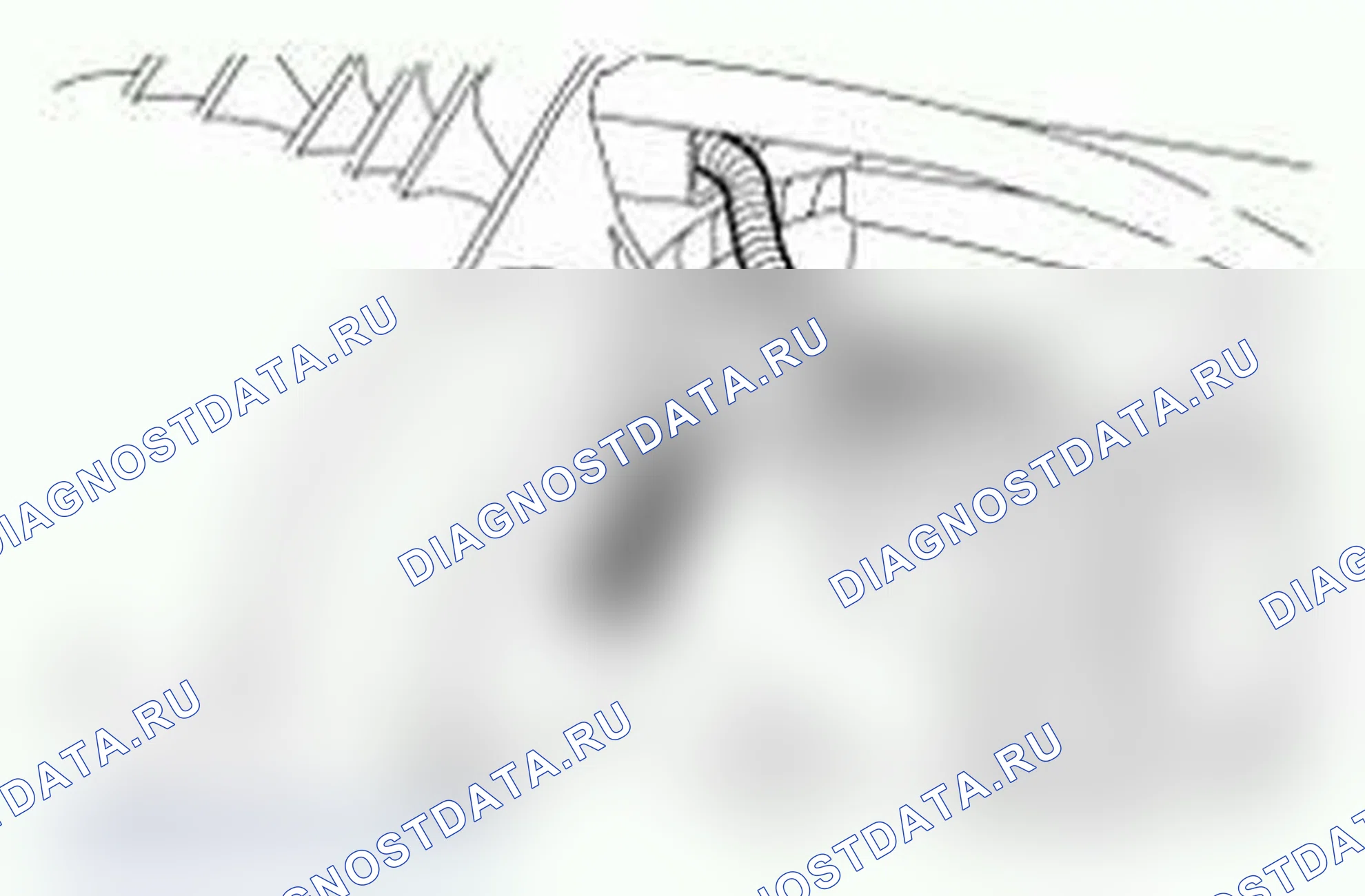 Рис. 4. Ford Econoline E250 