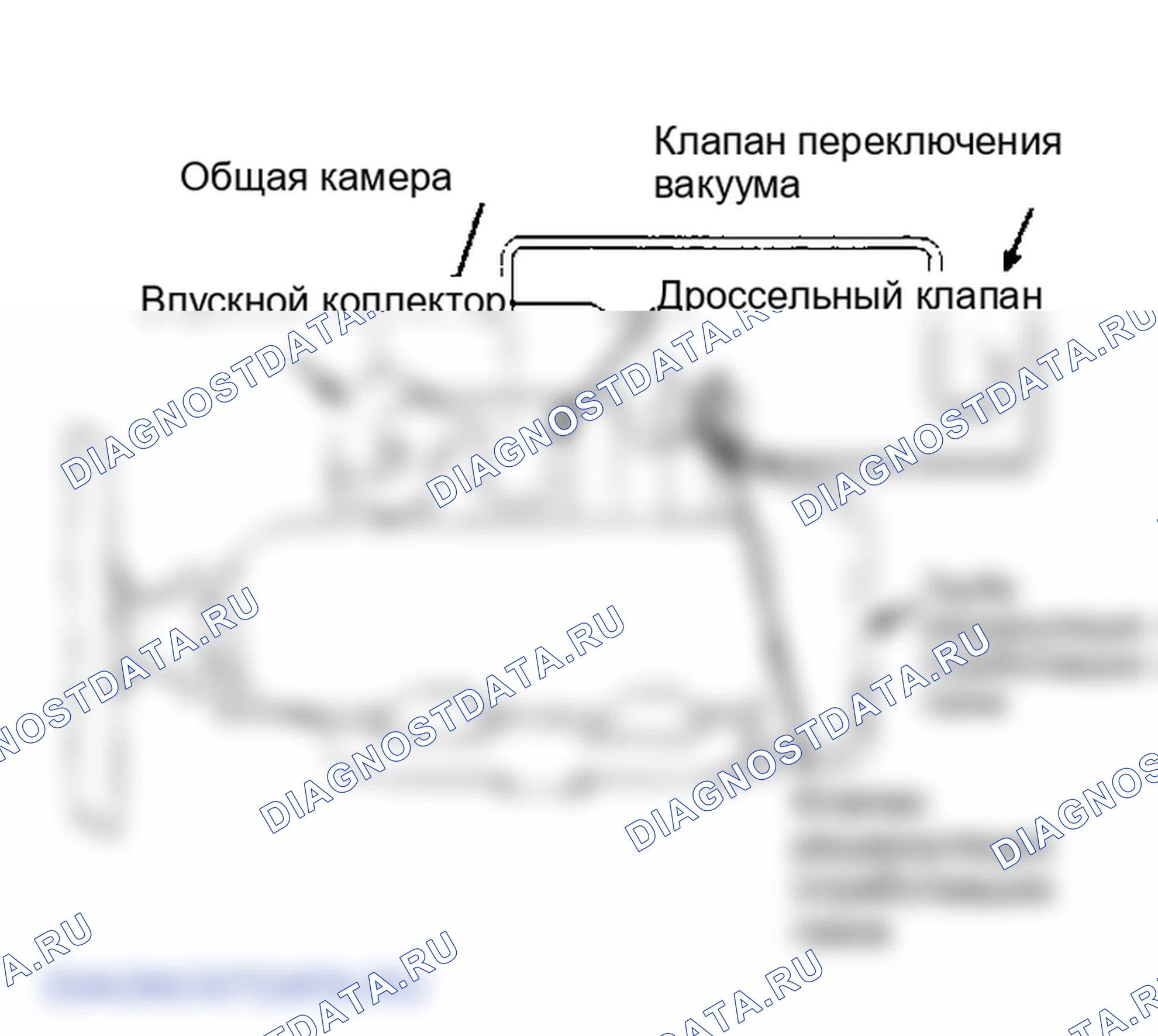 Рис. 8: Система рециркуляция отработавших газов (турбо-модели). Isuzu Impulse I