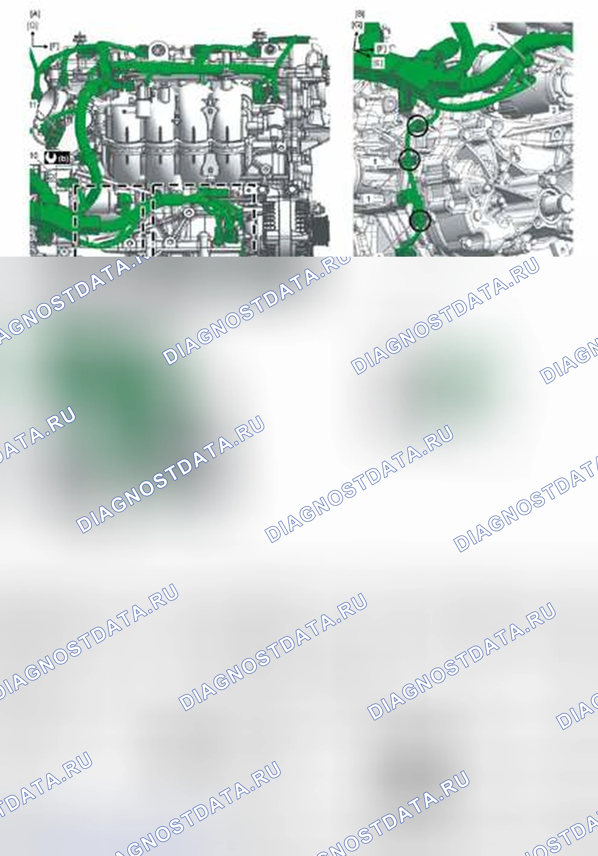Рис. 120: Вокруг двигателя. Suzuki Kizashi I