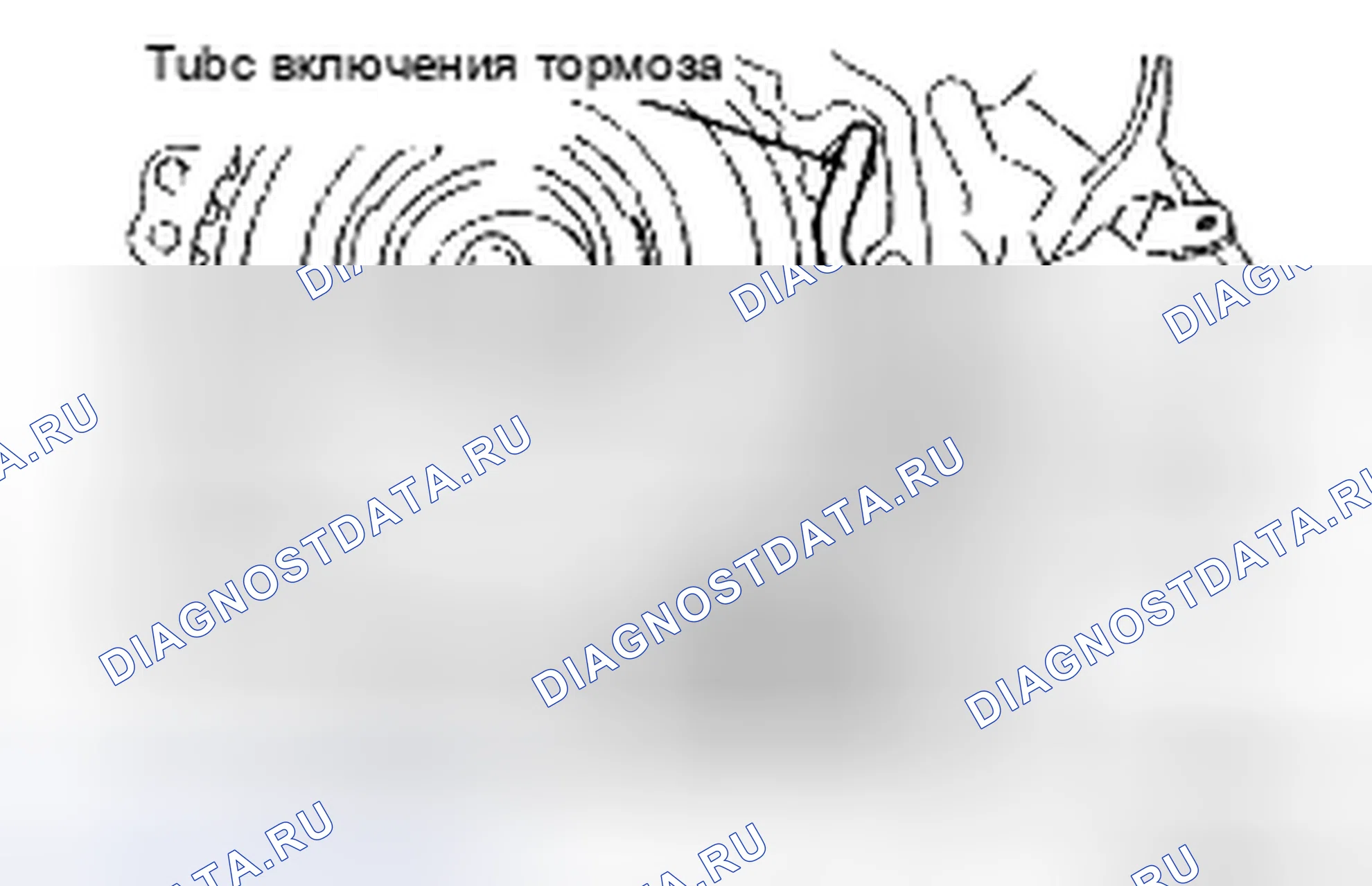 Рис. 257. Toyota Camry XV40