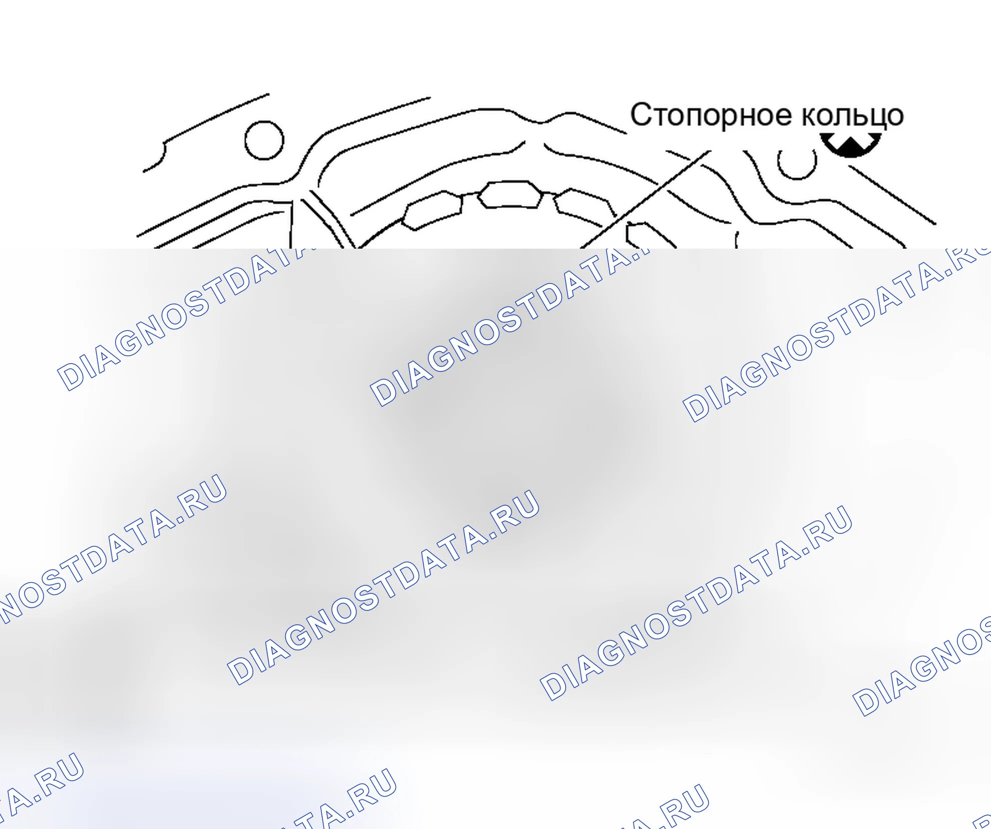 Рис. 80. Honda Torneo I