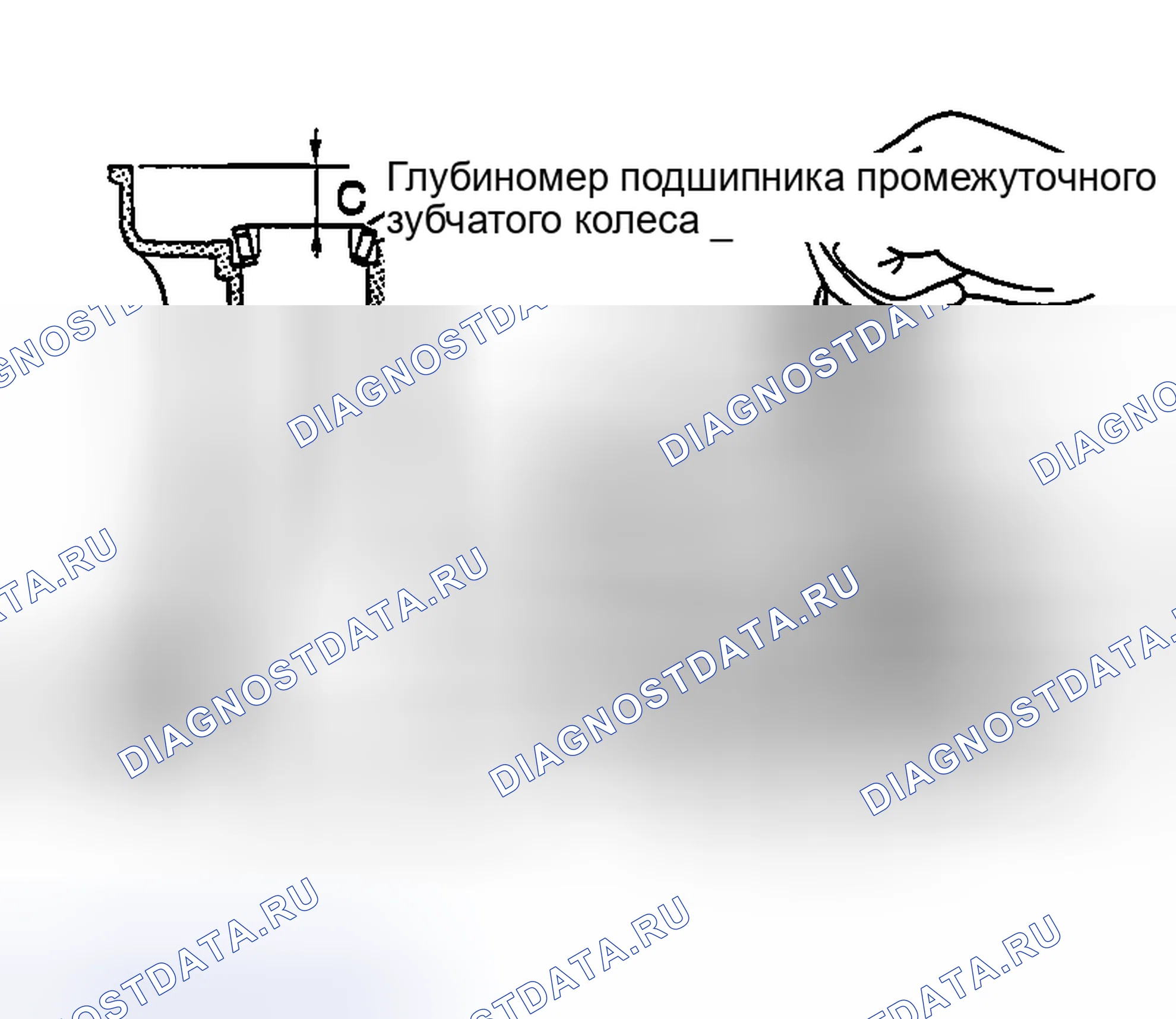 Рис. 1773. Nissan Sentra B15