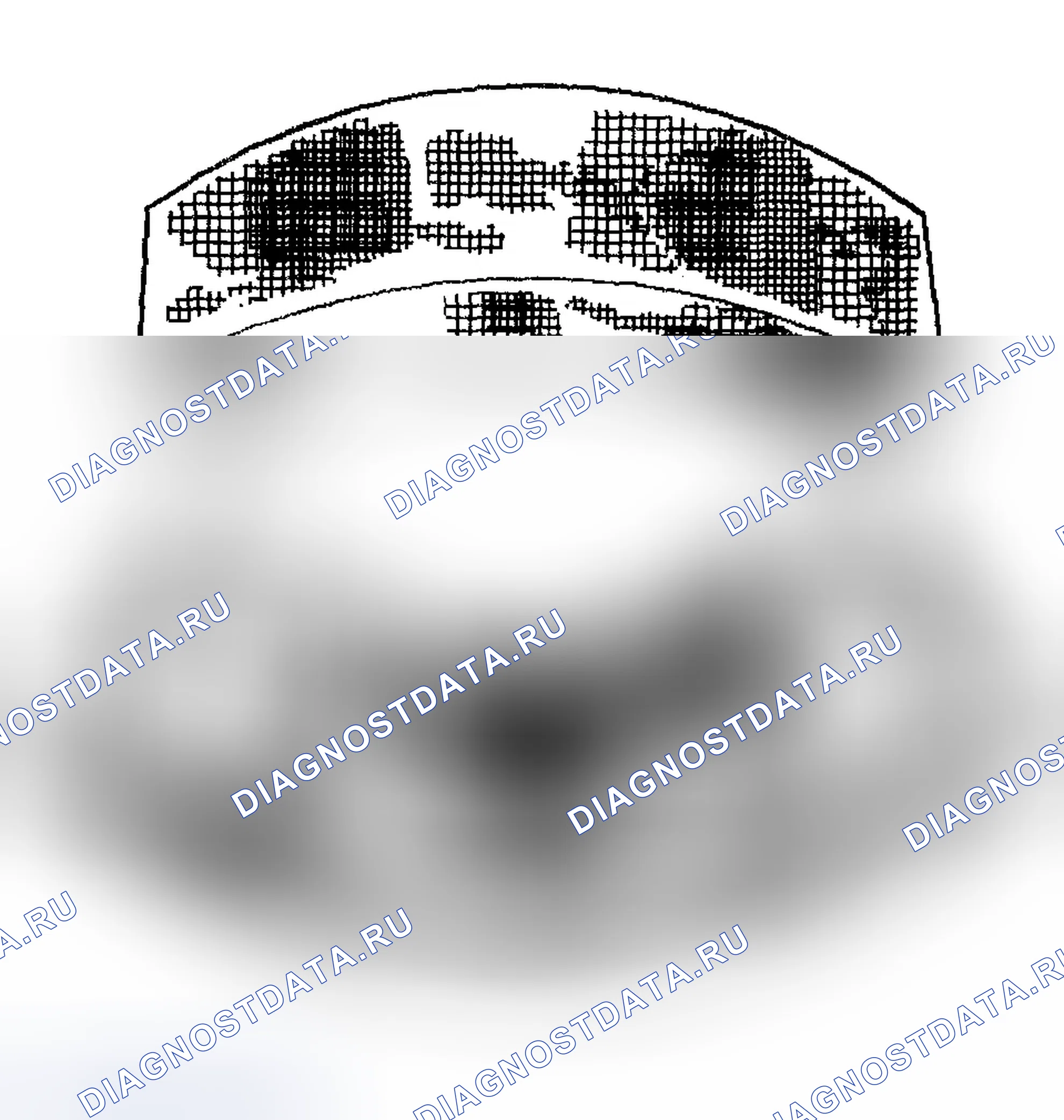 Рис. 217: Фреттаж. Chevrolet TrailBlazer I