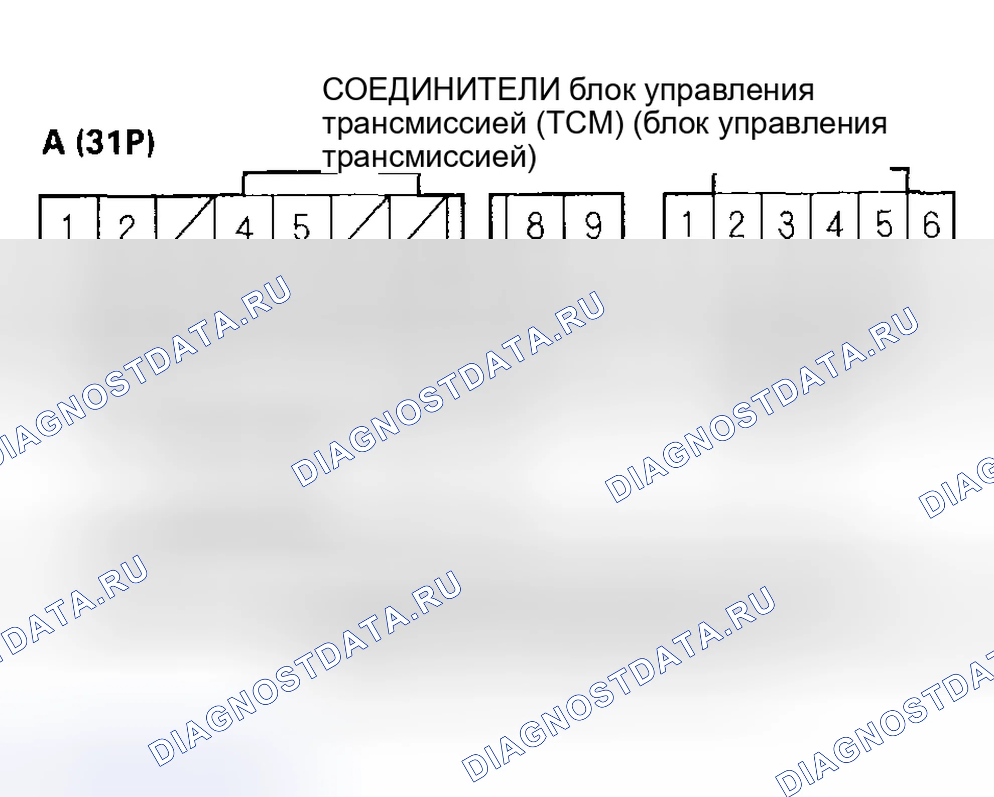 Рис. 981. Honda Civic VII рестайлинг