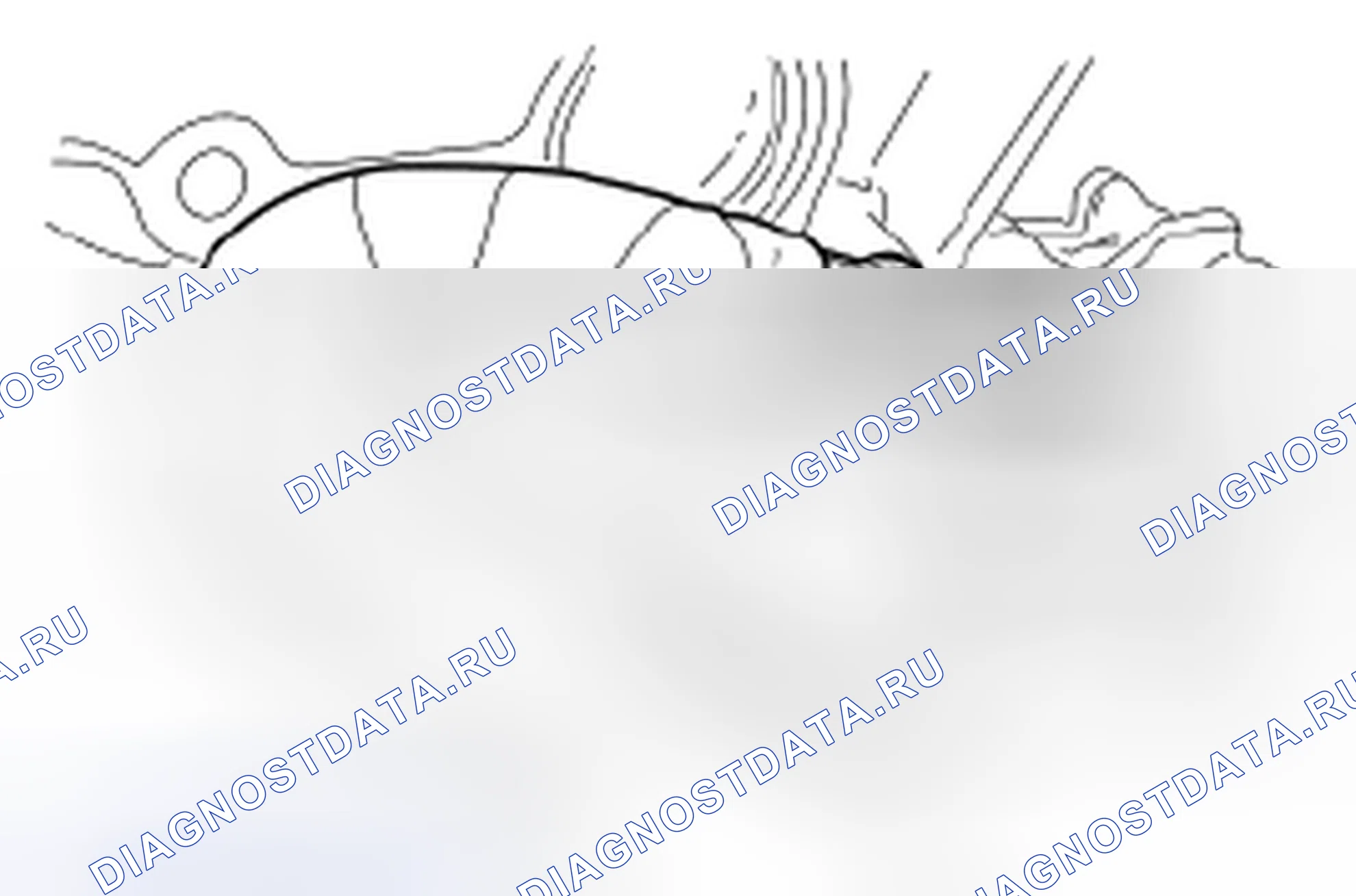 Рис. 496. Hyundai ix55 I