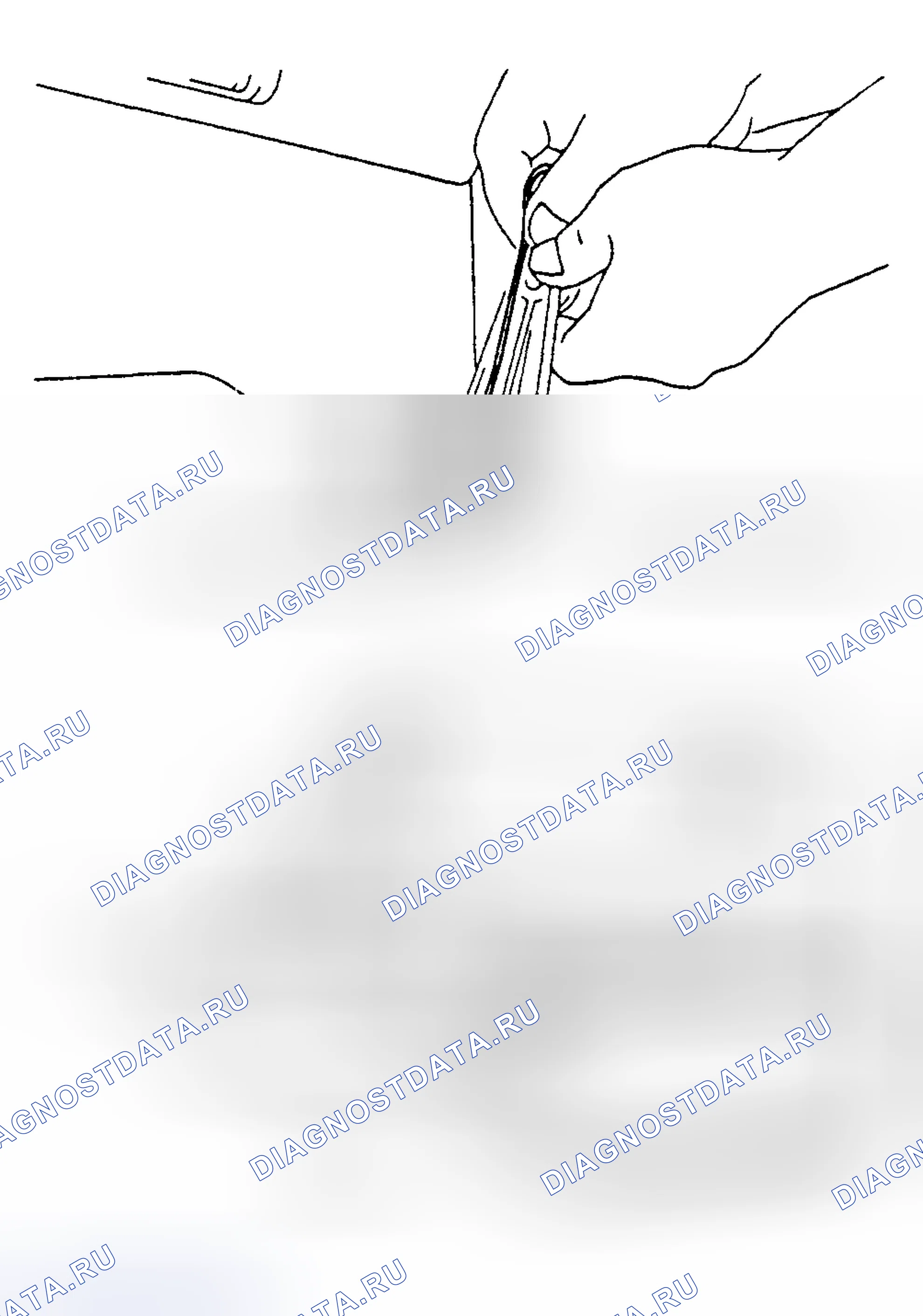 Рис. 1. Subaru Legacy BC/BJ/BF
