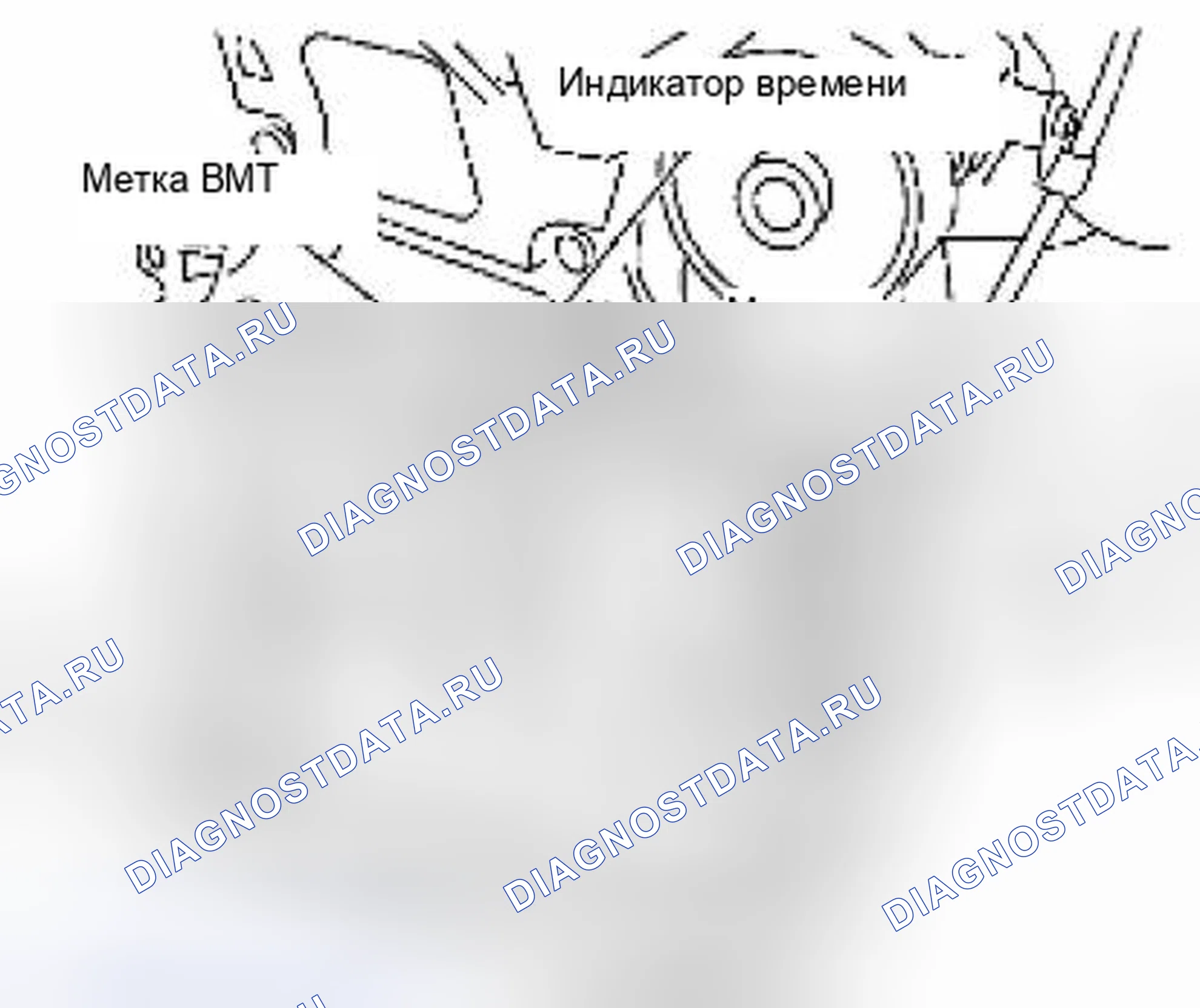 Рис. 74. Suzuki Equator I