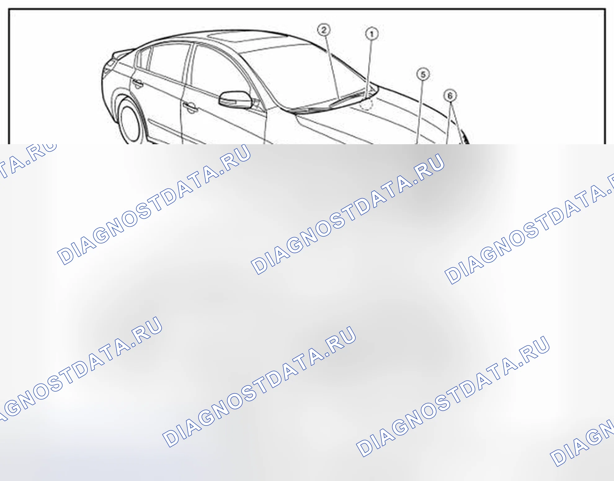 Рис. 229. Nissan Altima L32 рестайлинг