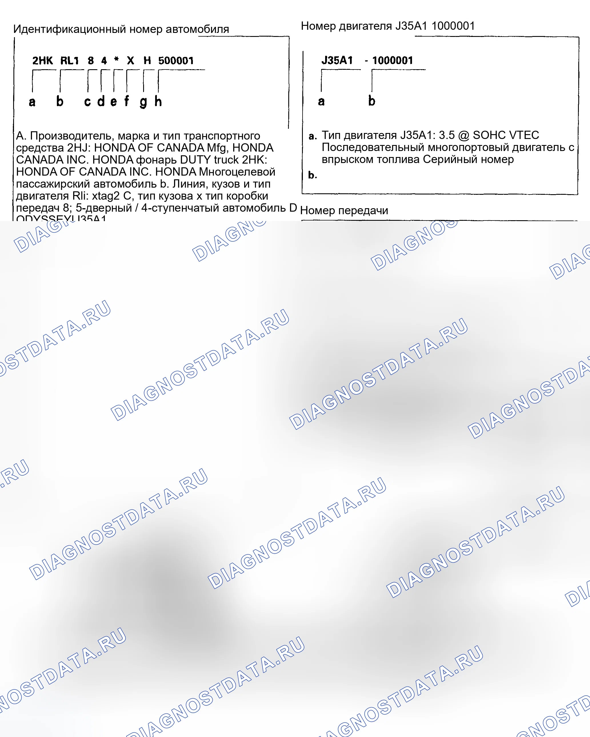 Рис. 1: Коды шасси и красок. Honda Odyssey II