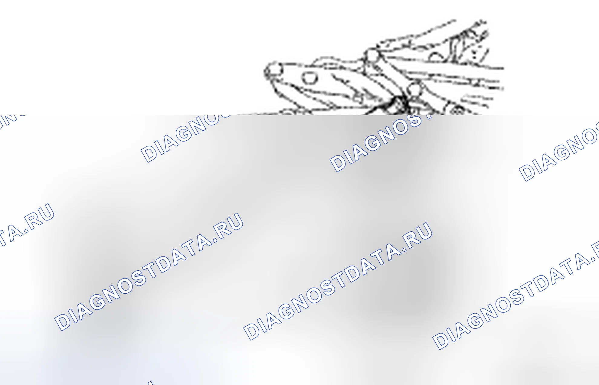 Рис. 142. Honda CR-V VI