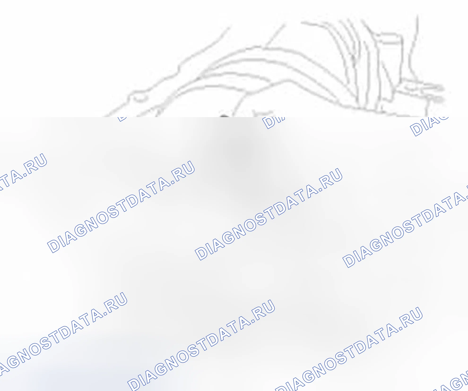 Рис. 235: Коленчатый вал. Hyundai Sonata VI