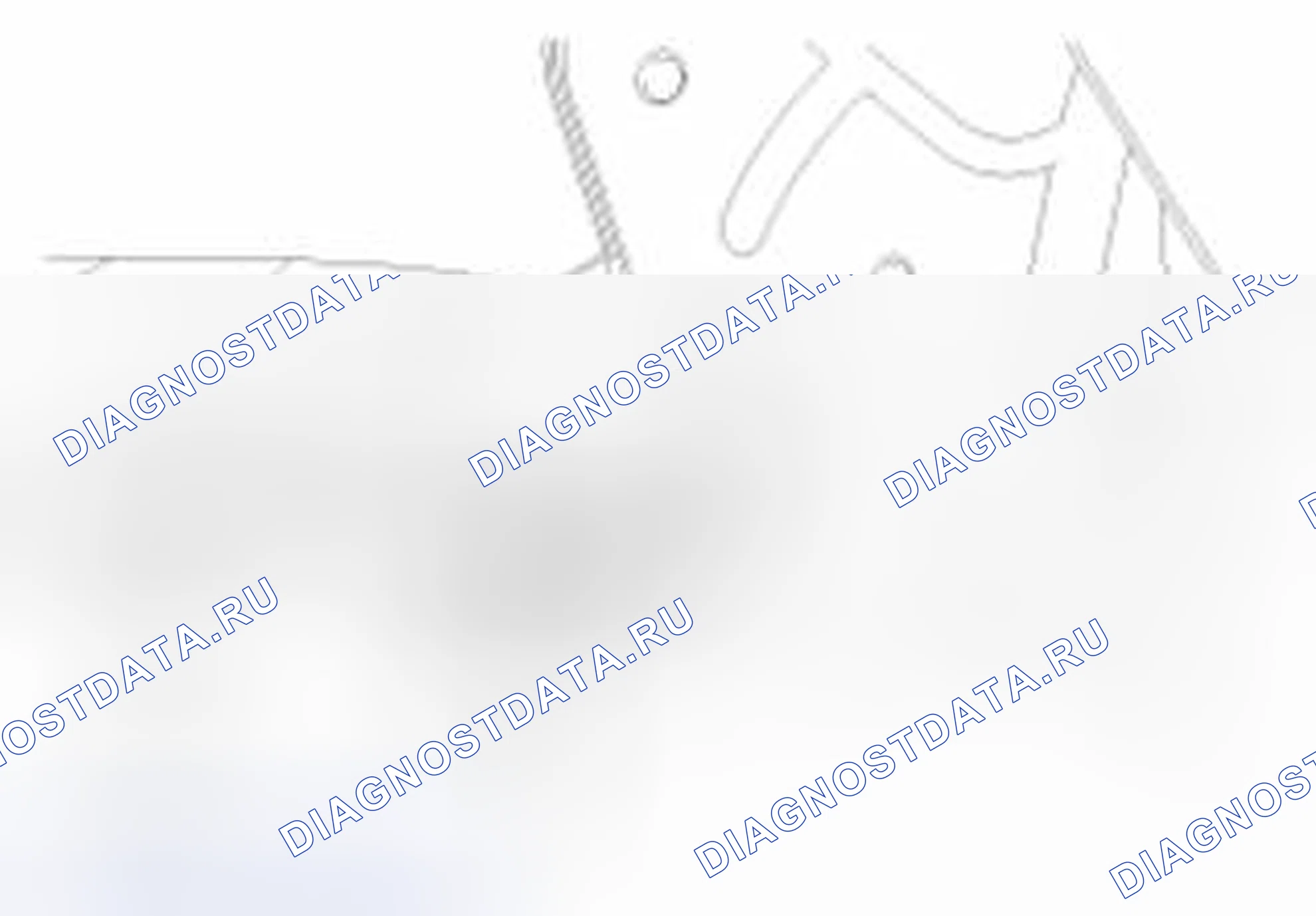 Рис. 130. Haval Beast (Shenshou) I