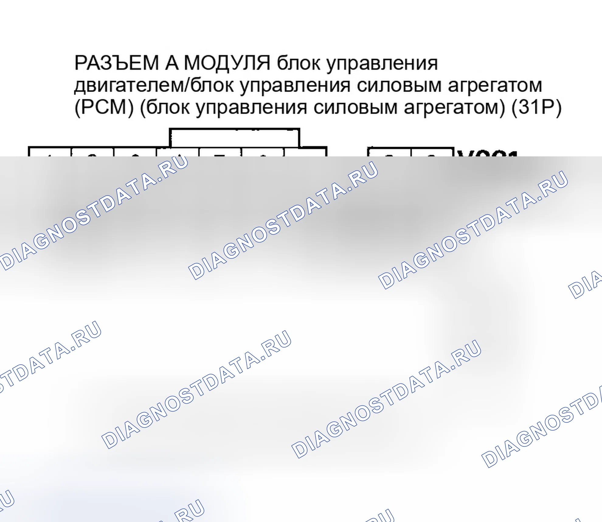 Рис. 17. Honda Element YH2