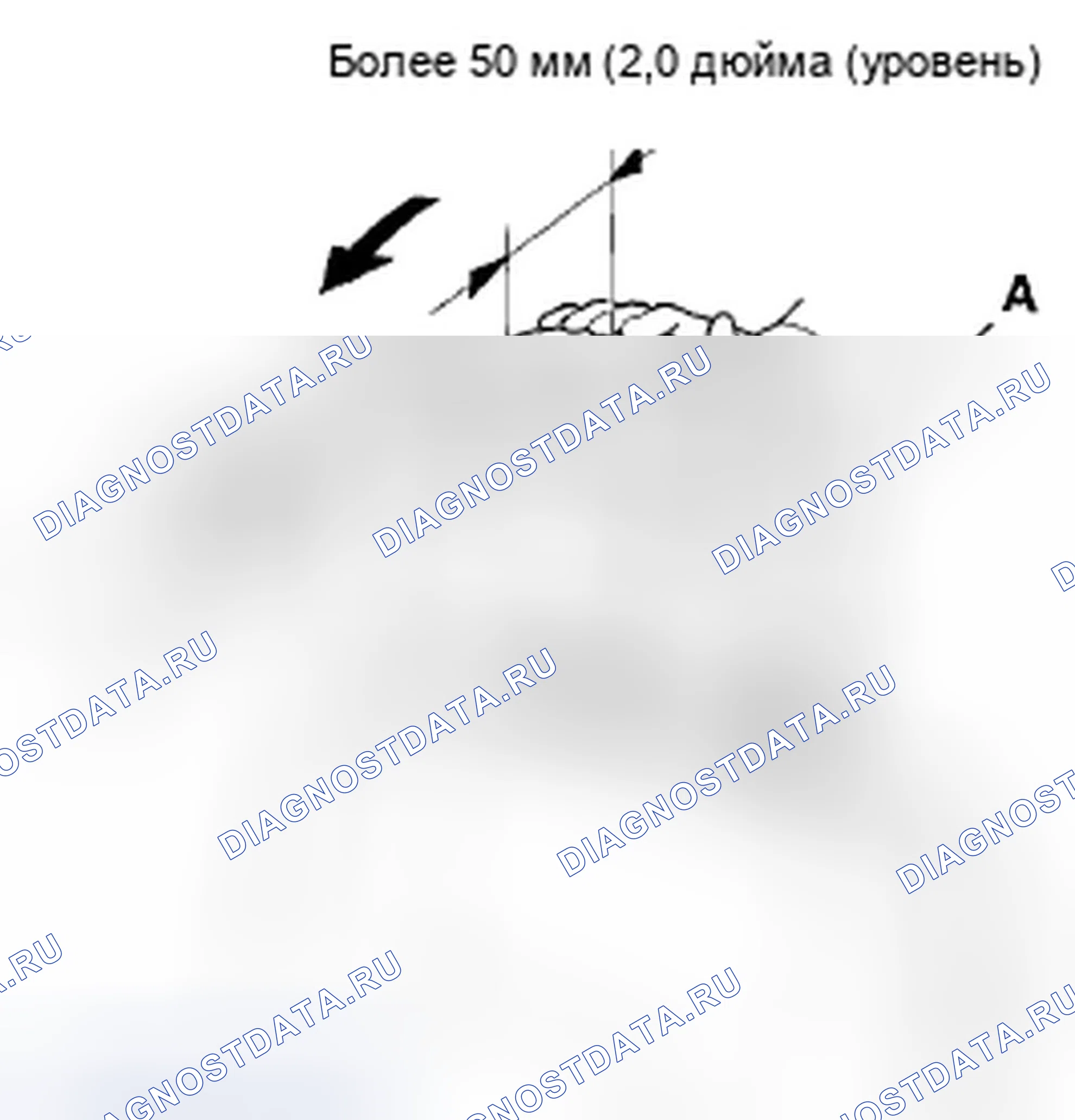 Рис. 301. Honda Accord VIII рестайлинг