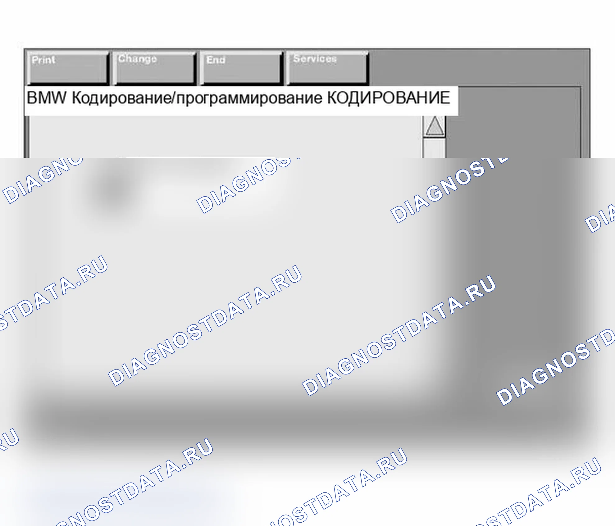 Рис. 196: Перекодировка. BMW X3 E83