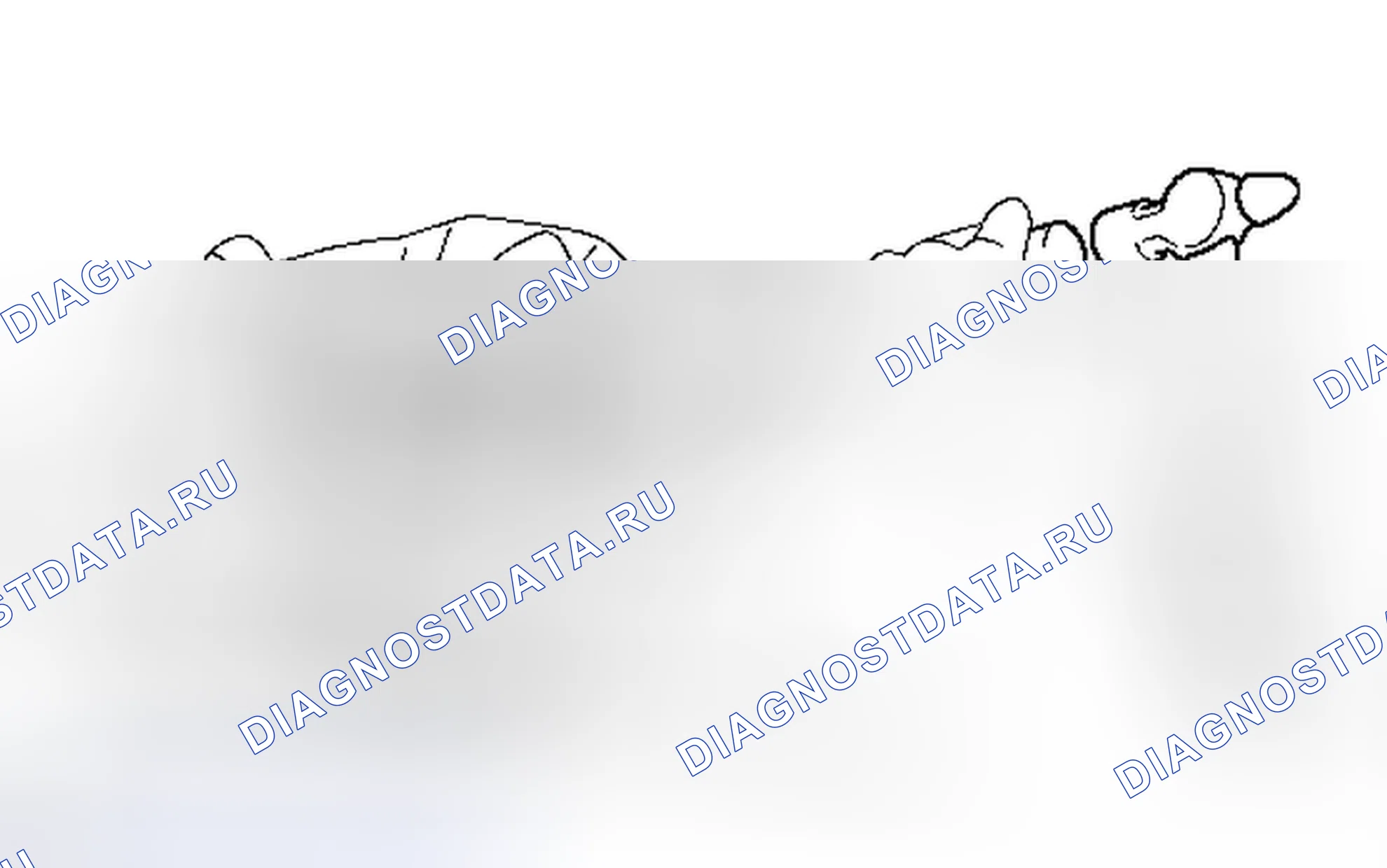 Рис. 36: РАЗБОРКА. Toyota 4Runner V