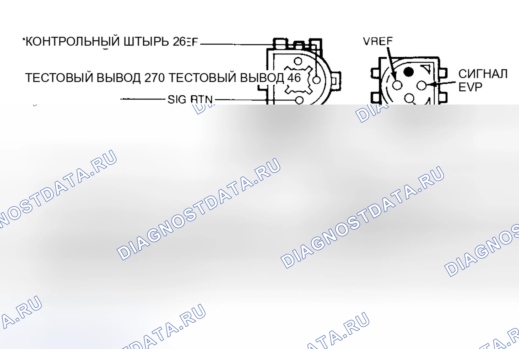 Рис. 31: Разъем EVP для подключения датчика и соленоида EVR (DN1). Ford Crown Victoria I
