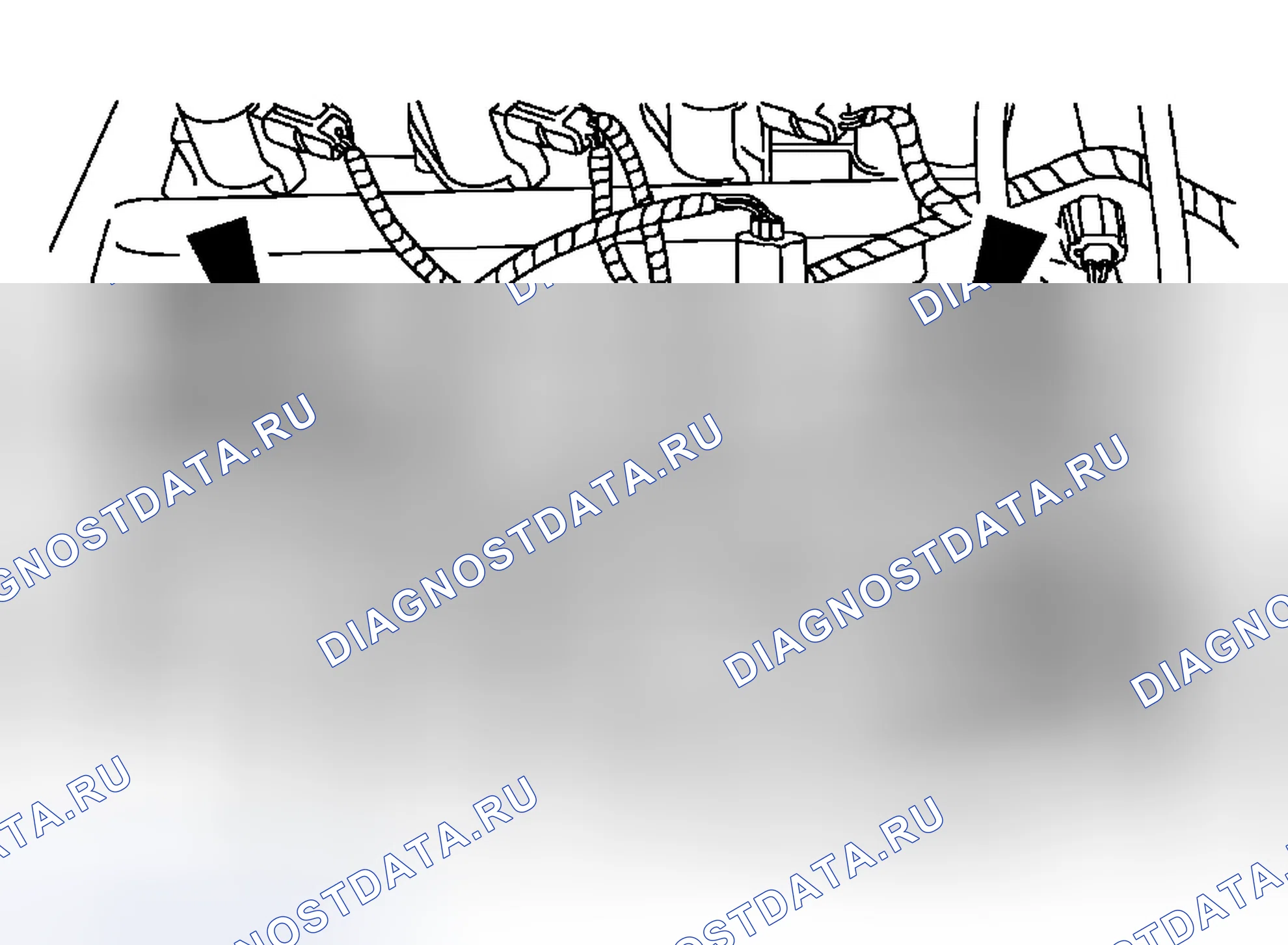 Рис. 1350. Ford Focus I рестайлинг