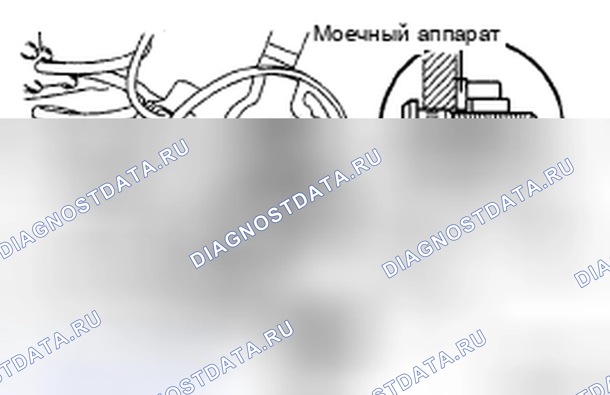 Рис. 24. Toyota Sienna II рестайлинг