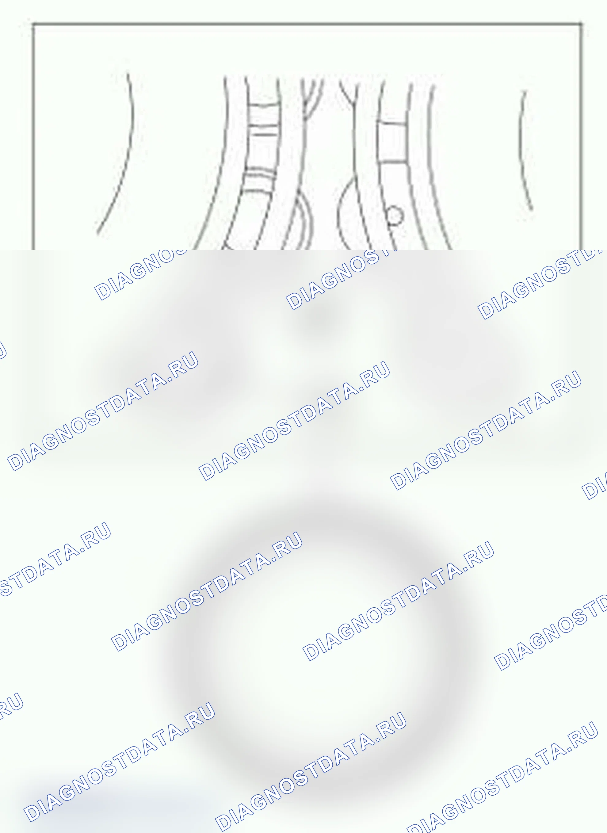Рис. 7. Ford Econoline E250 