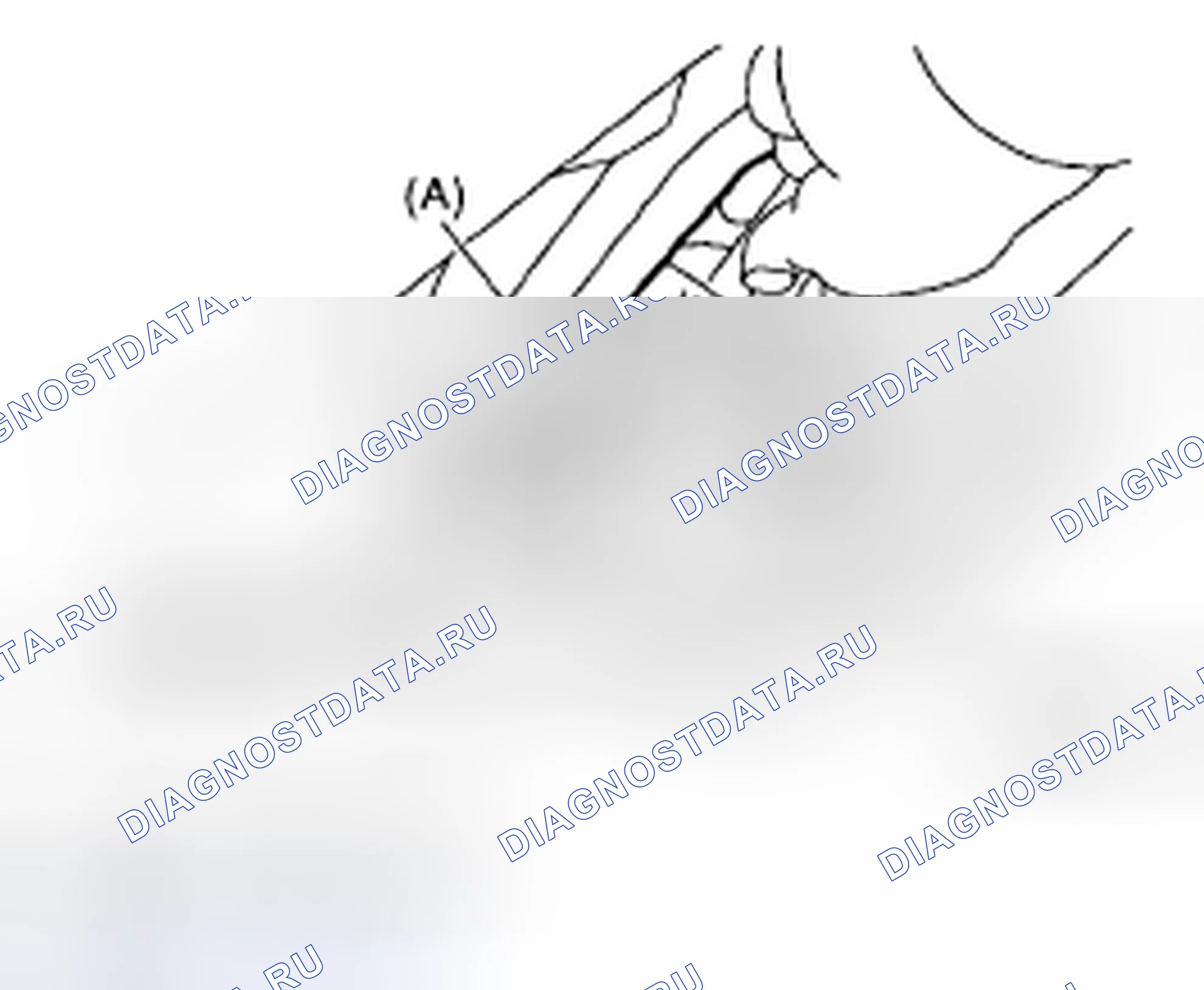 Рис. 51. Subaru Impreza GD/GC/GG рестайлинг 2