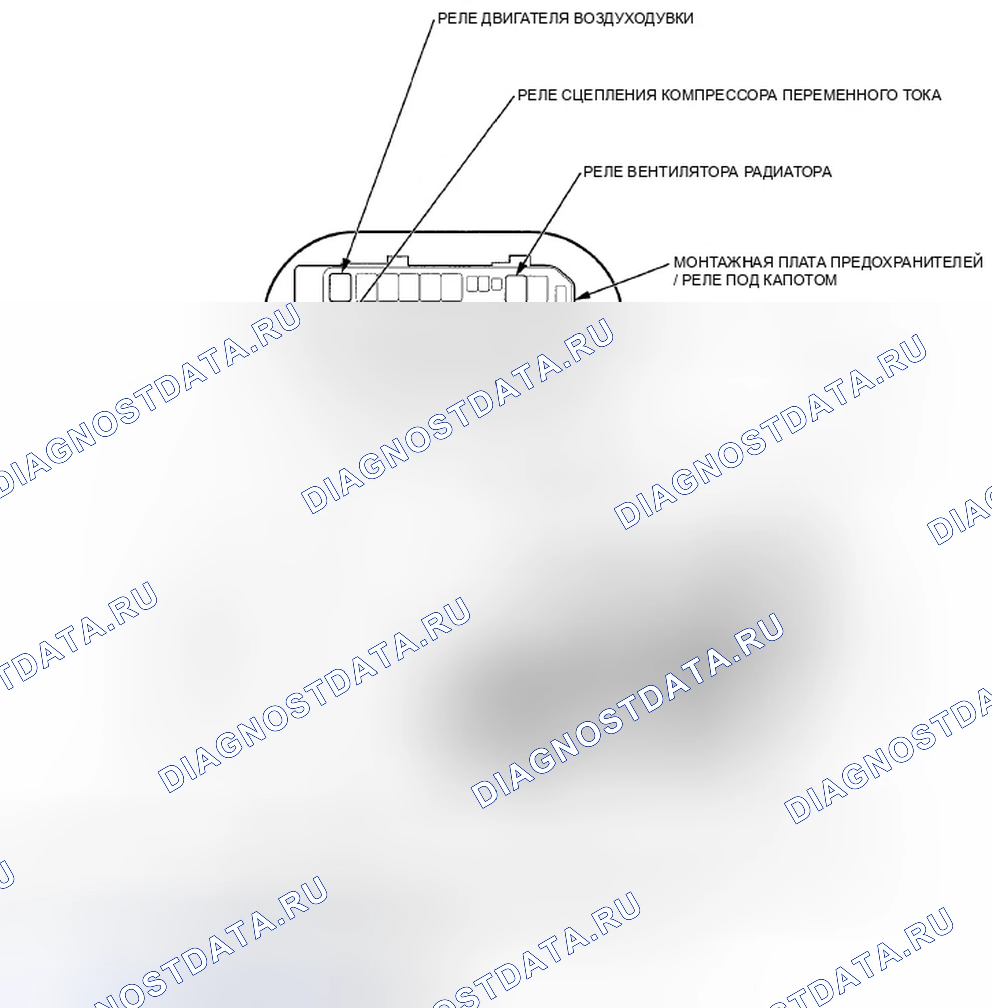 Рис. 230. Honda Crosstour I