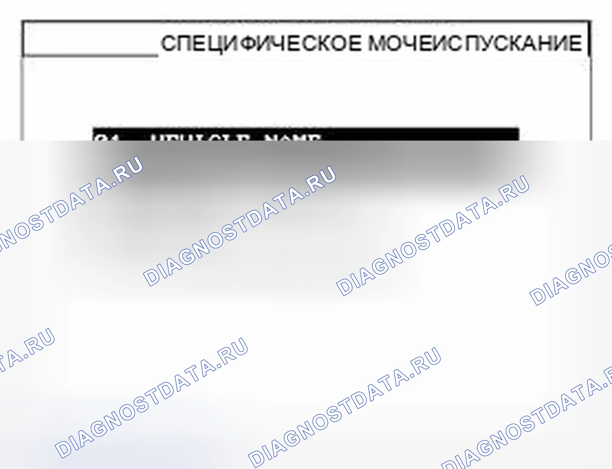 Рис. 91. Hyundai Accent III