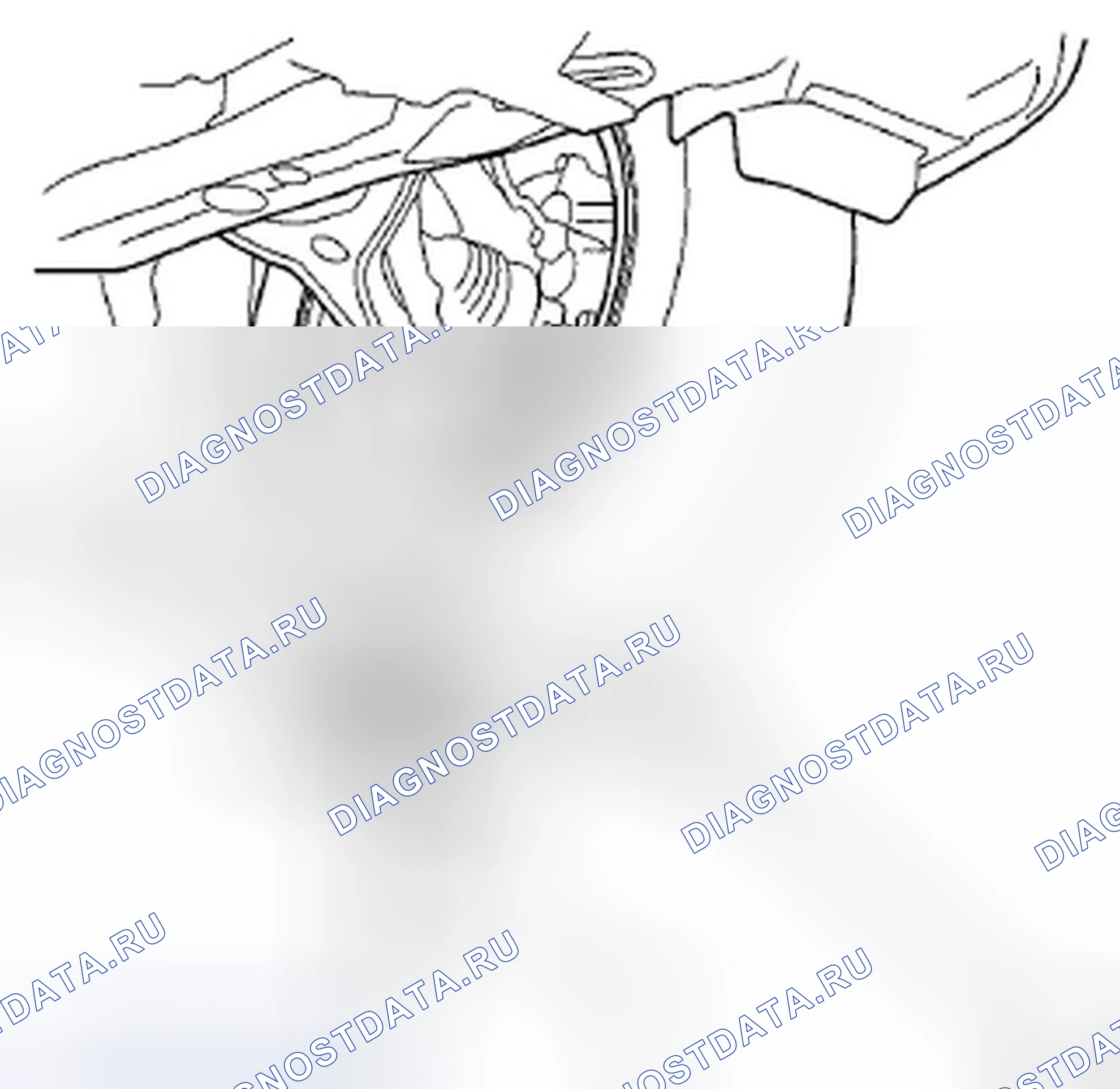 Рис. 19. Honda Crosstour I