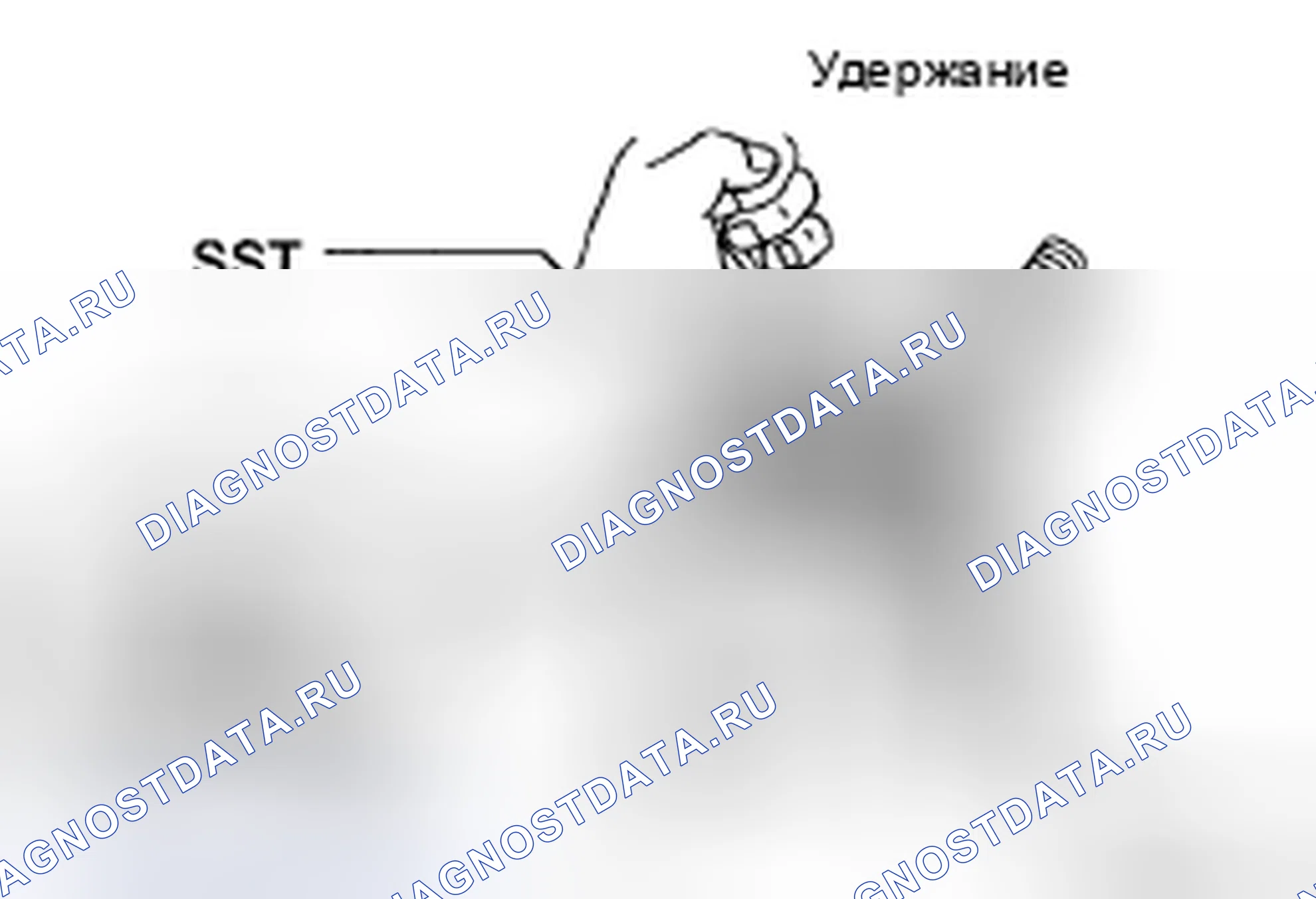Рис. 95. Toyota Sienna II рестайлинг