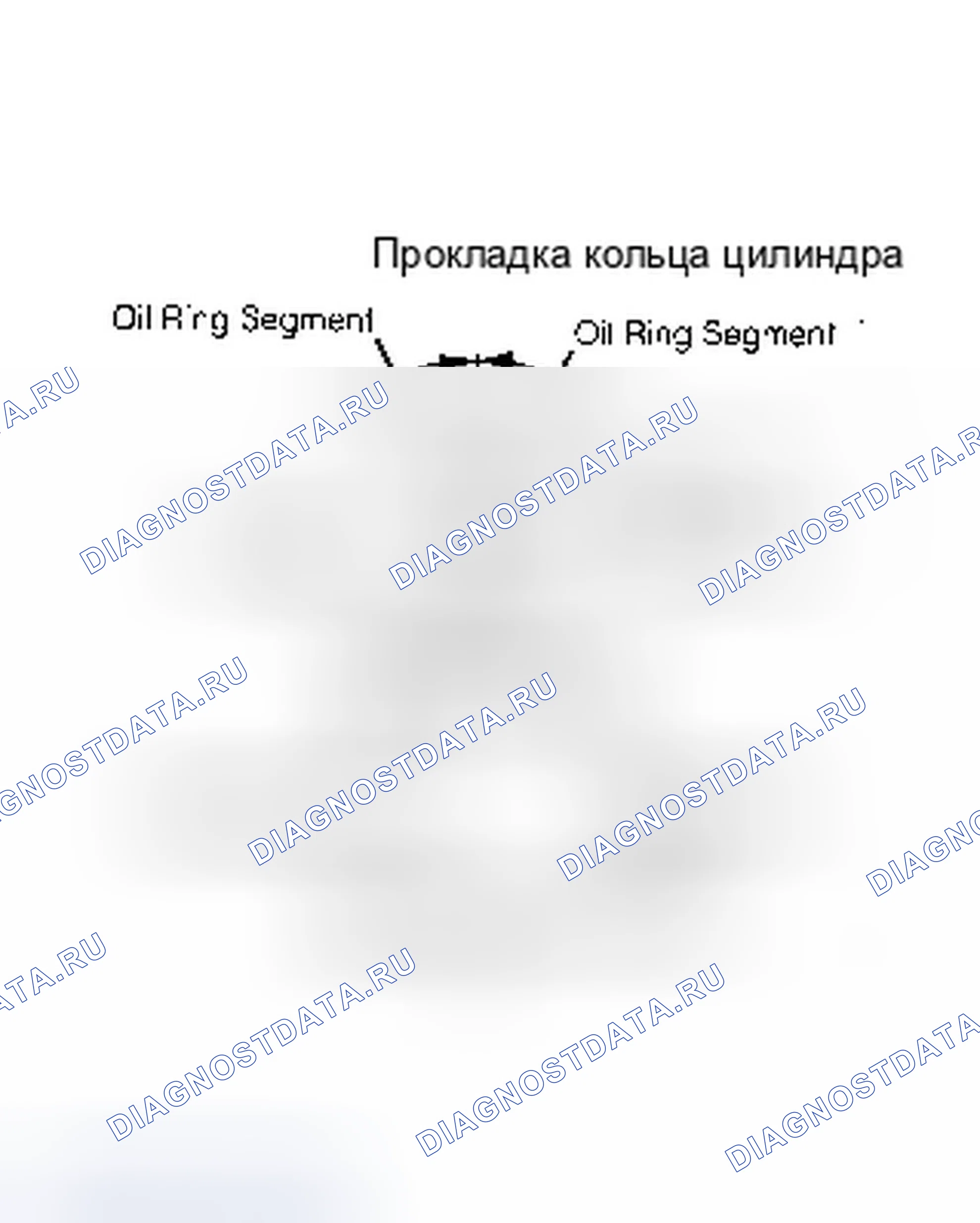 Рис. 26: Поршневые кольца. Ford Escort V рестайлинг
