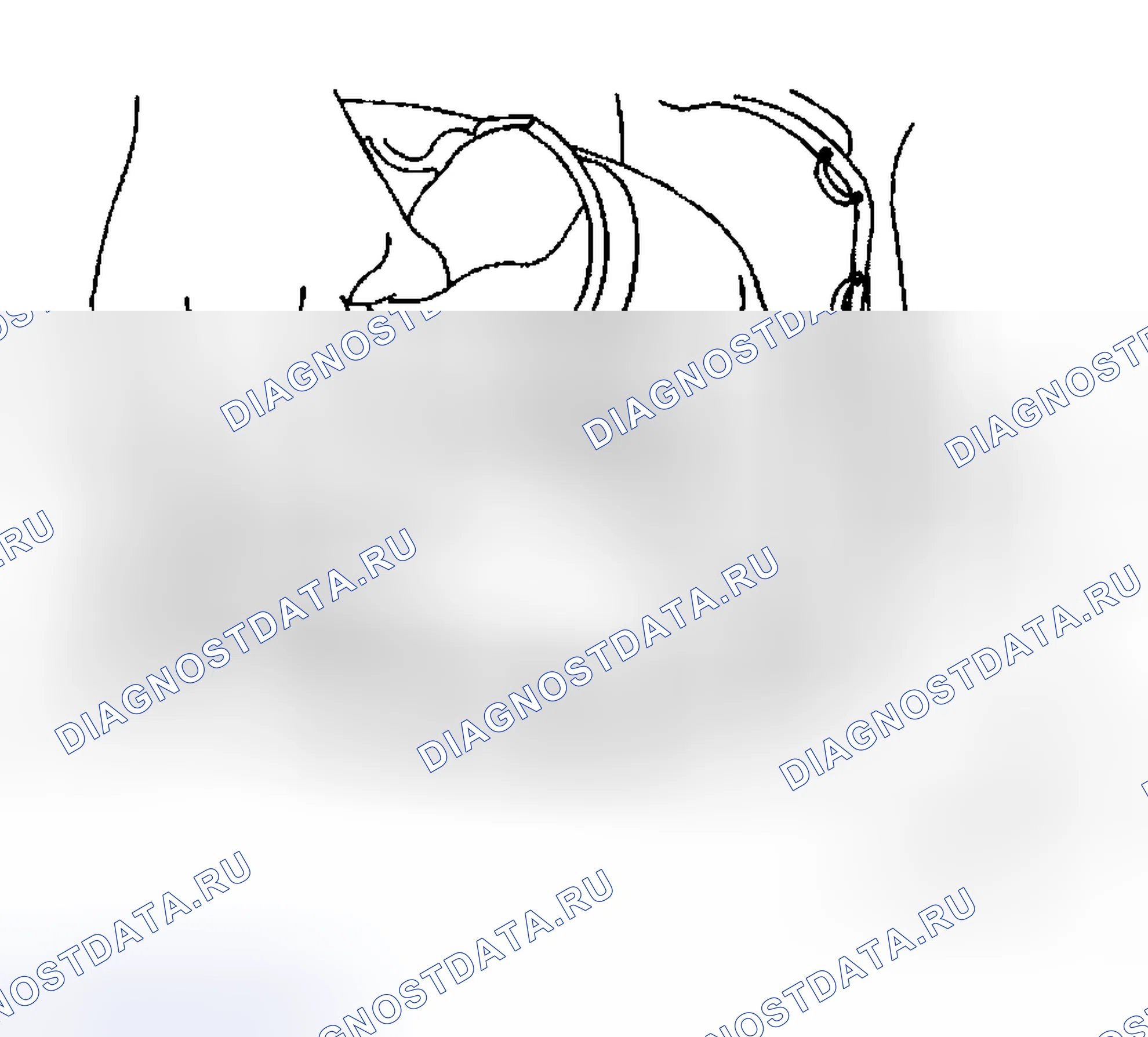 Рис. 49. Hyundai Venue I