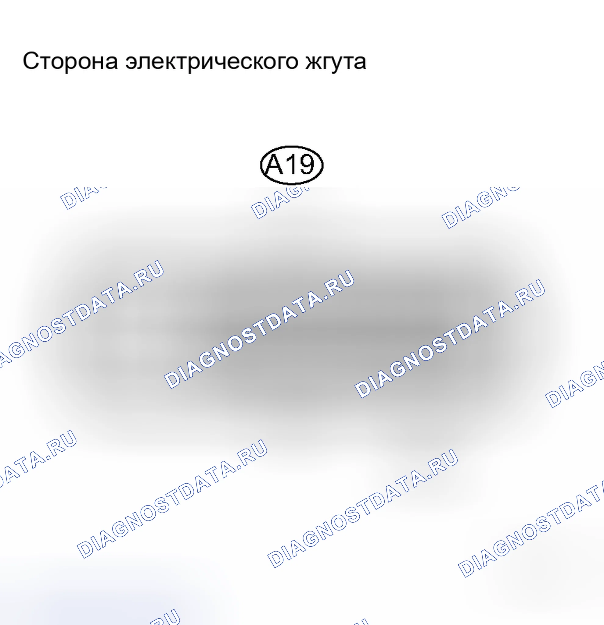 Рис. 38: ПРОЦЕДУРА КОНТРОЛЯ. Toyota RAV4 III