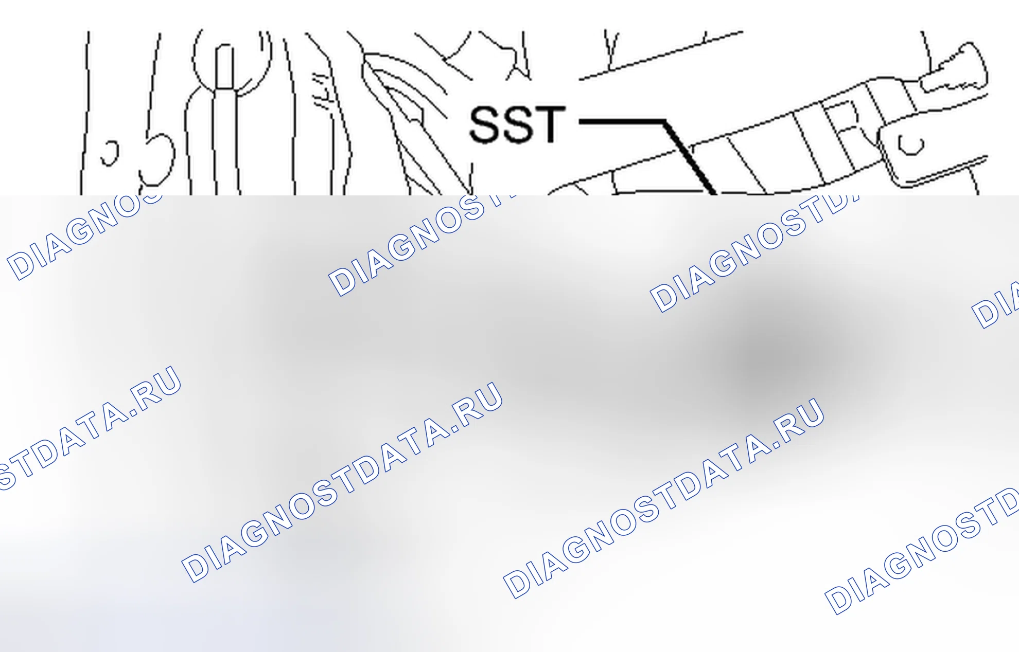 Рис. 890. Toyota Camry XV50