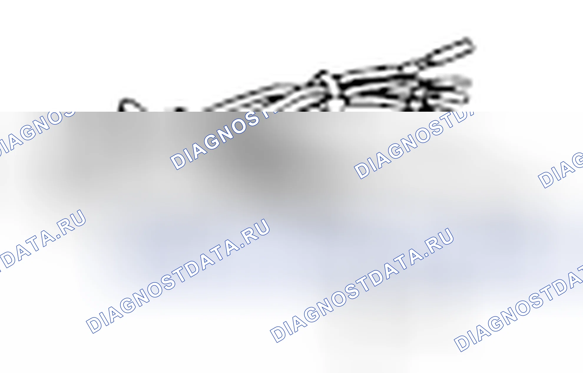 Рис. 350. Honda e:NP1 I