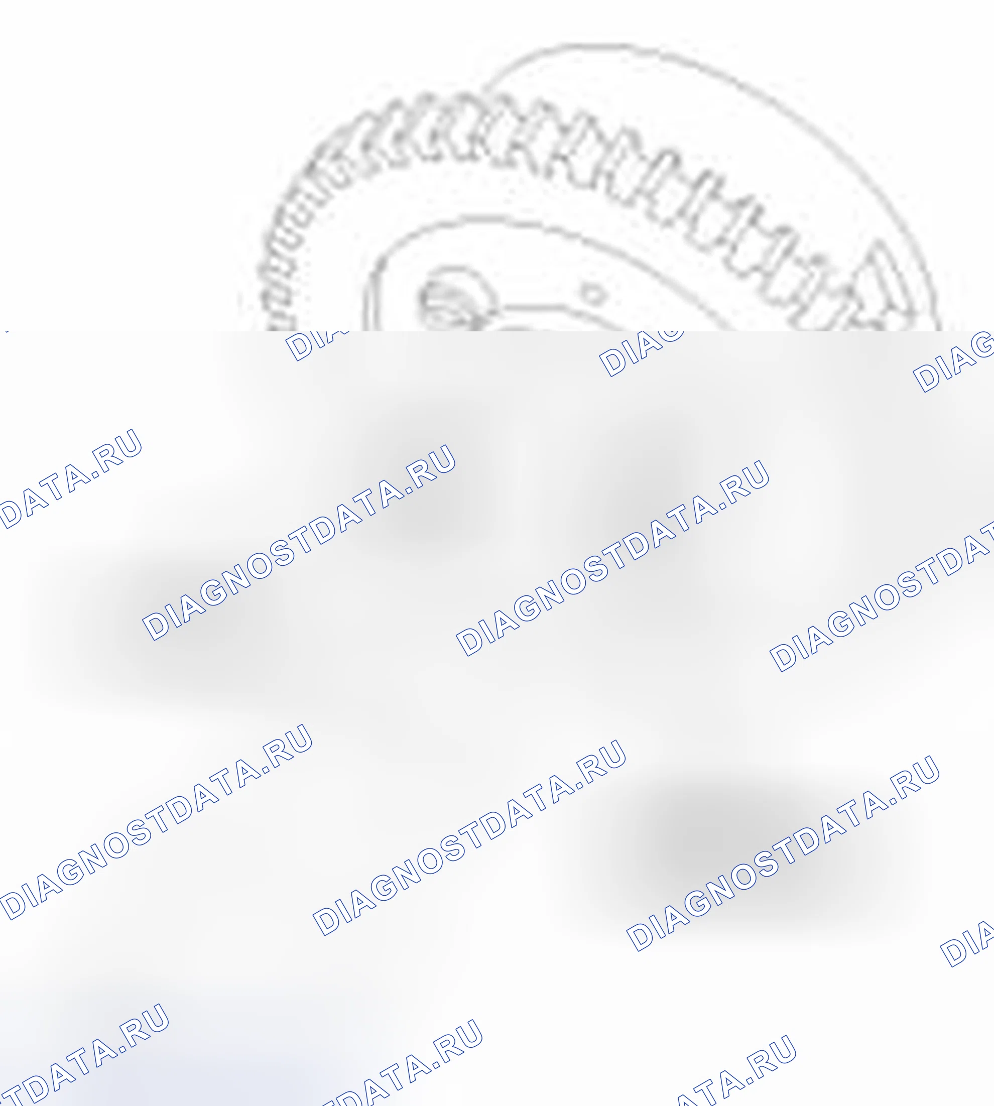 Рис. 533. Haval Beast (Shenshou) I