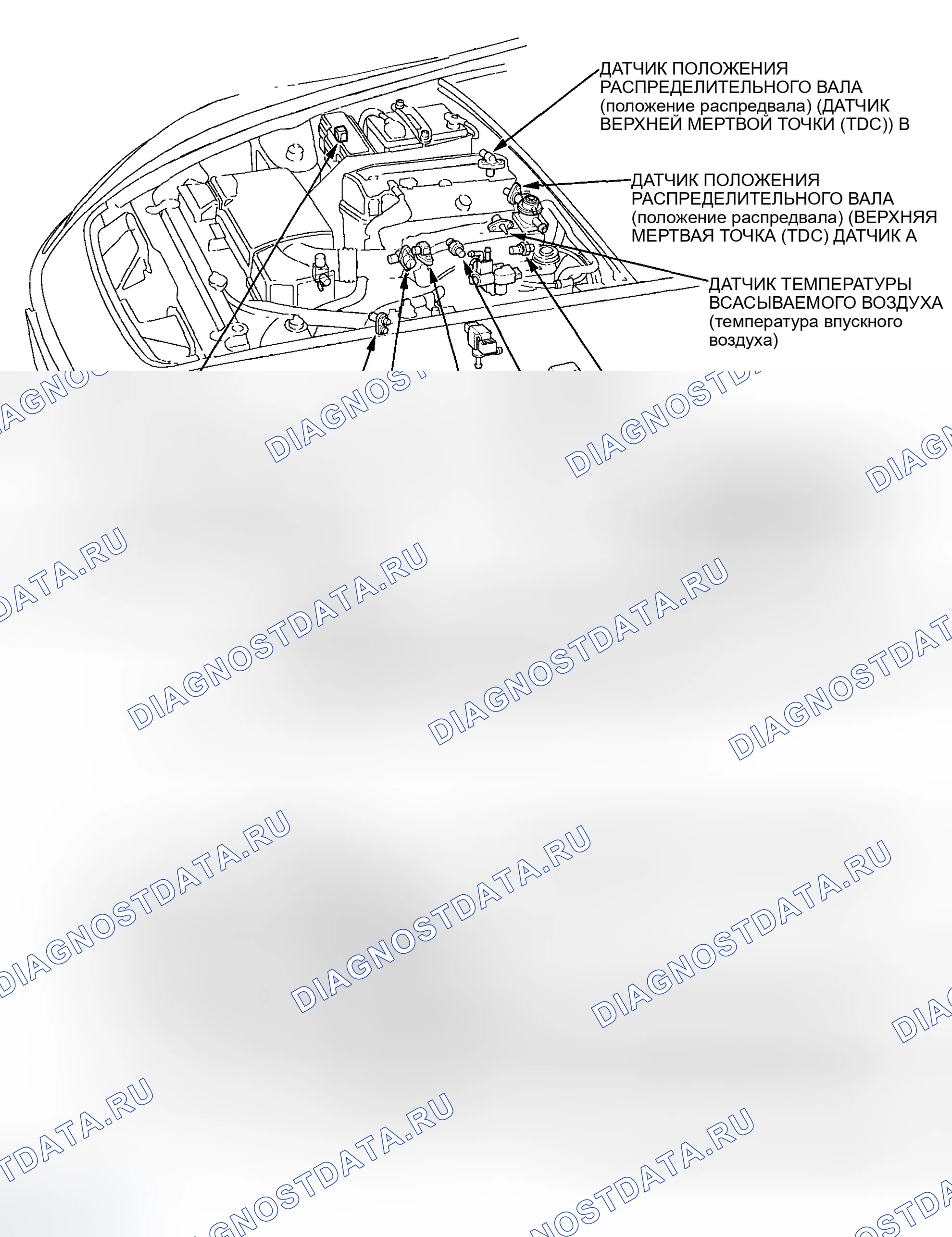 Рис. 1: Указатель расположения компонентов. Honda S2000 AP1