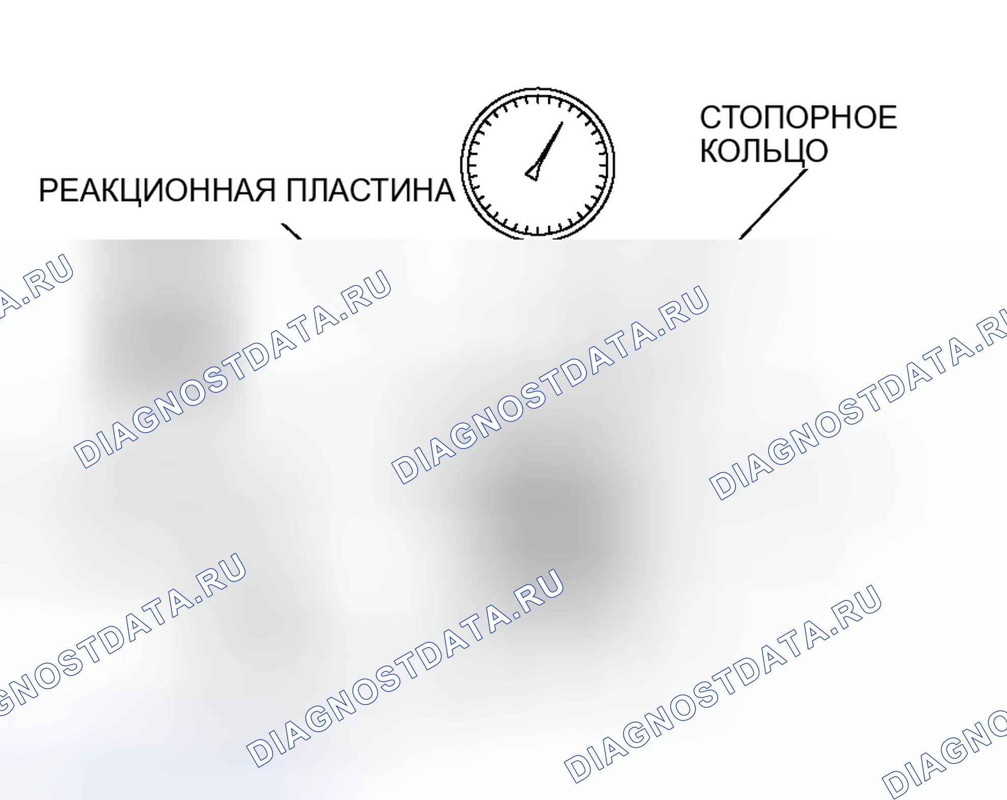 Рис. 446. Honda Envix I