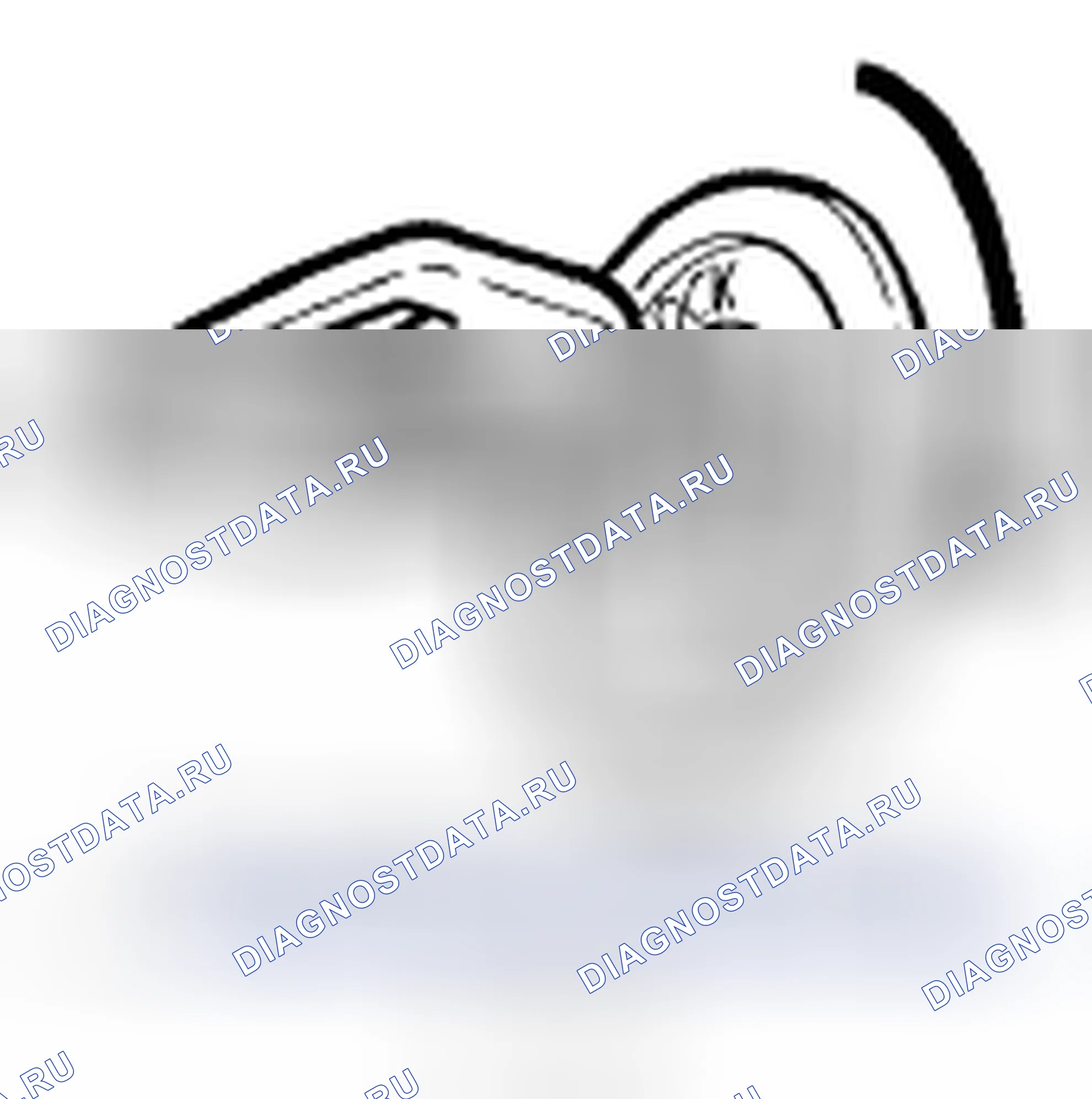 Рис. 213. Toyota Highlander I