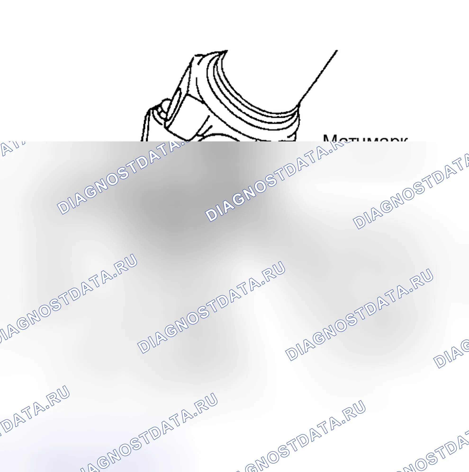 Рис. 15. Nissan 350Z I