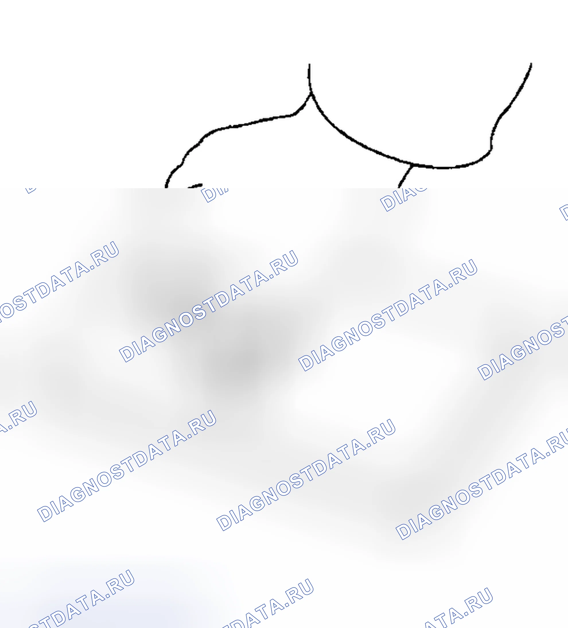 Рис. 184. Subaru Outback BH