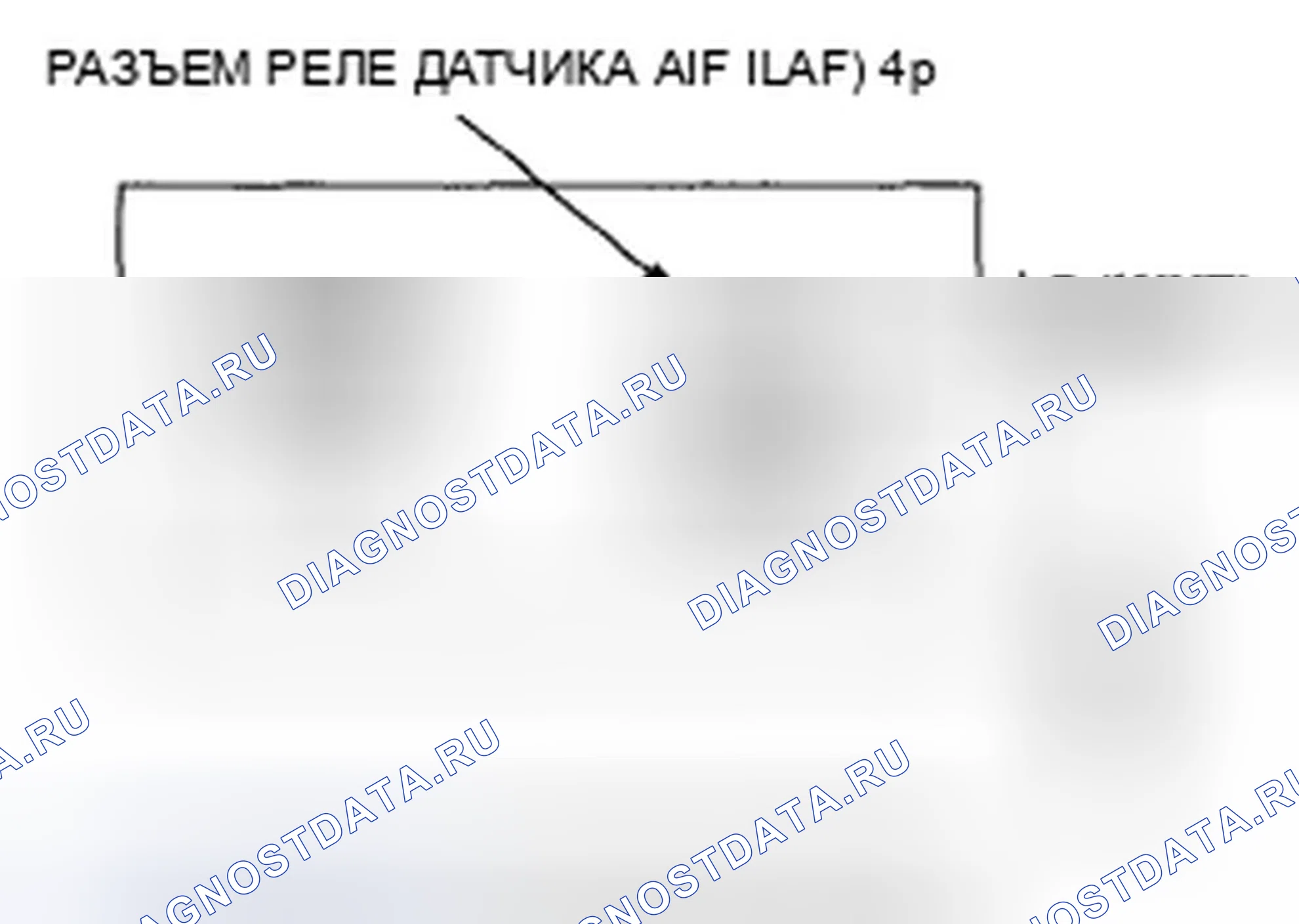 Рис. 392. Honda Element YH2 рестайлинг 2